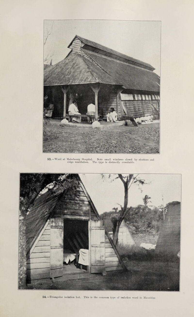 53.—Ward at Mahebourg Hospital. Note small windows closed by shutters and ridge ventilation. The type is distinctly unsuitable. 54.—Triangular isolation hut. This is the common type of isolation ward in Mauritius