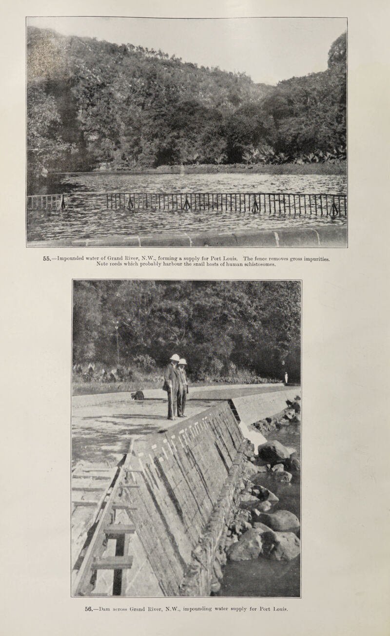 55.—Impounded water of Grand River, N.W., forming a supply for Port Louis. The fence removes gross impurities. Note reeds which probably harbour the snail hosts of human schistosomes. 56.—Dam across Grand River, N.W., impounding water supply for Port Louis.