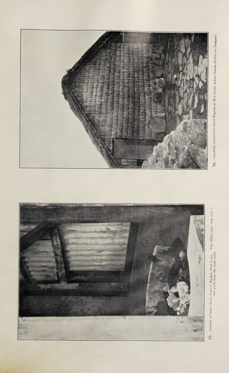 77. Inteiior ol water closet, Central Market, Port Louis. This filthy place was only a few yards from rhe meat stalls. ‘ ' 78.—Carefully constructed closed Engrais at Mon Loisir (Adam) Estate, Riviere du Eemp;