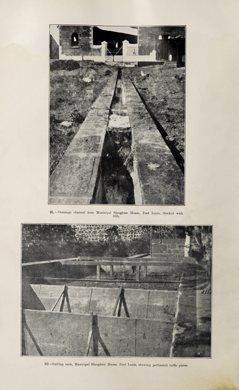 91.—Drainage channel from Municipal Slaughter House, Port Louis, blocked with filth. 92—Settling tank, Municipal Slaughter House, Port Louis, showing perforated baffle plates.