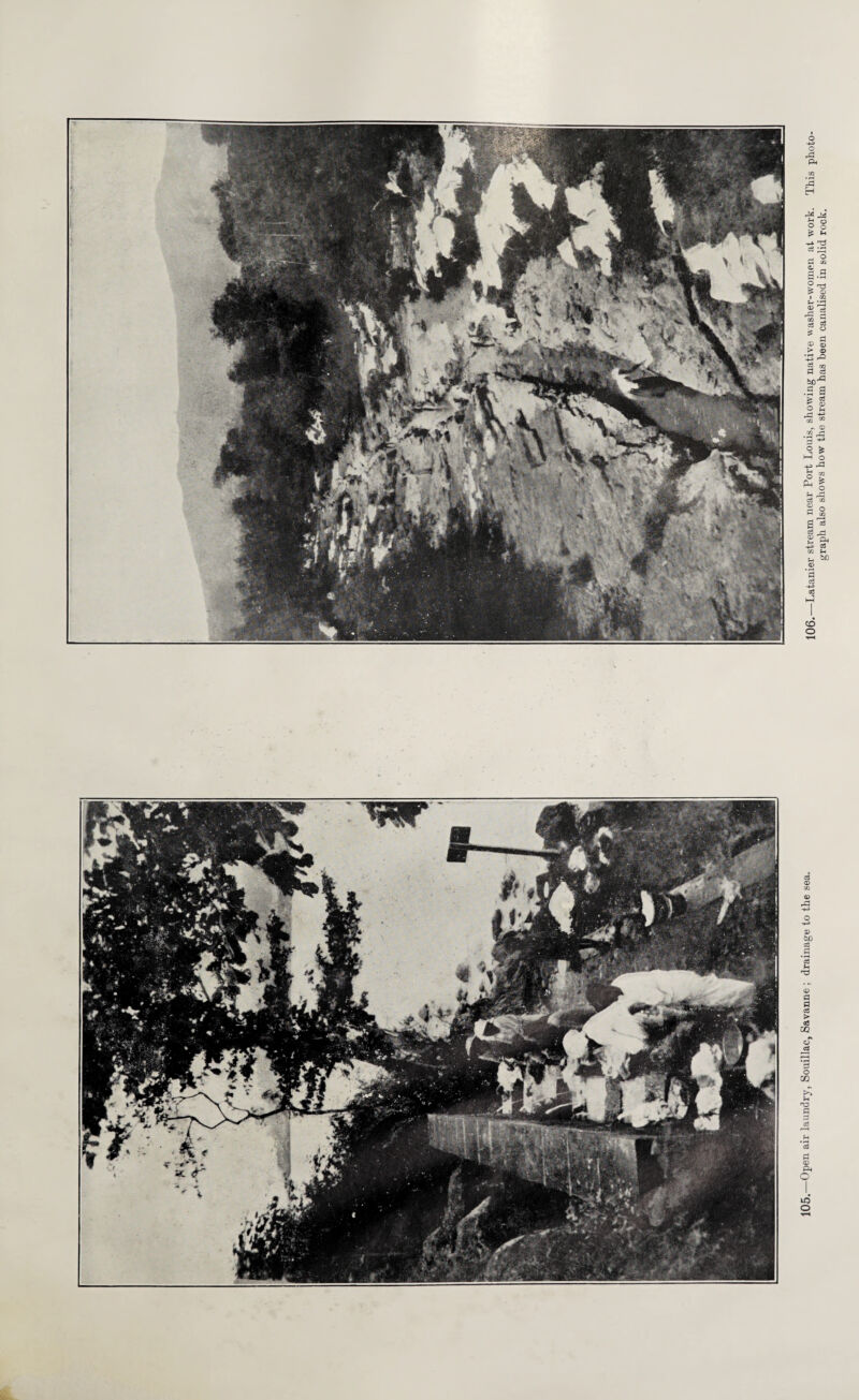 105. Open air launory, Souillac, Savanne ; drainage to the sea. 106.—Latanier stream near Port Louis, showing native washer-women at work. This photo¬ graph also shows how the stream has been canalised in solid rock.