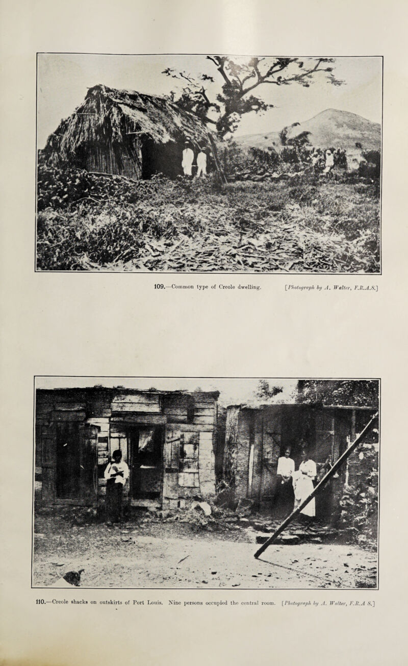 110.—Creole shacks on outskirts of Port Louis. Nine persons occupied the central room. [Photograph by A. Walter, F.R.A &]