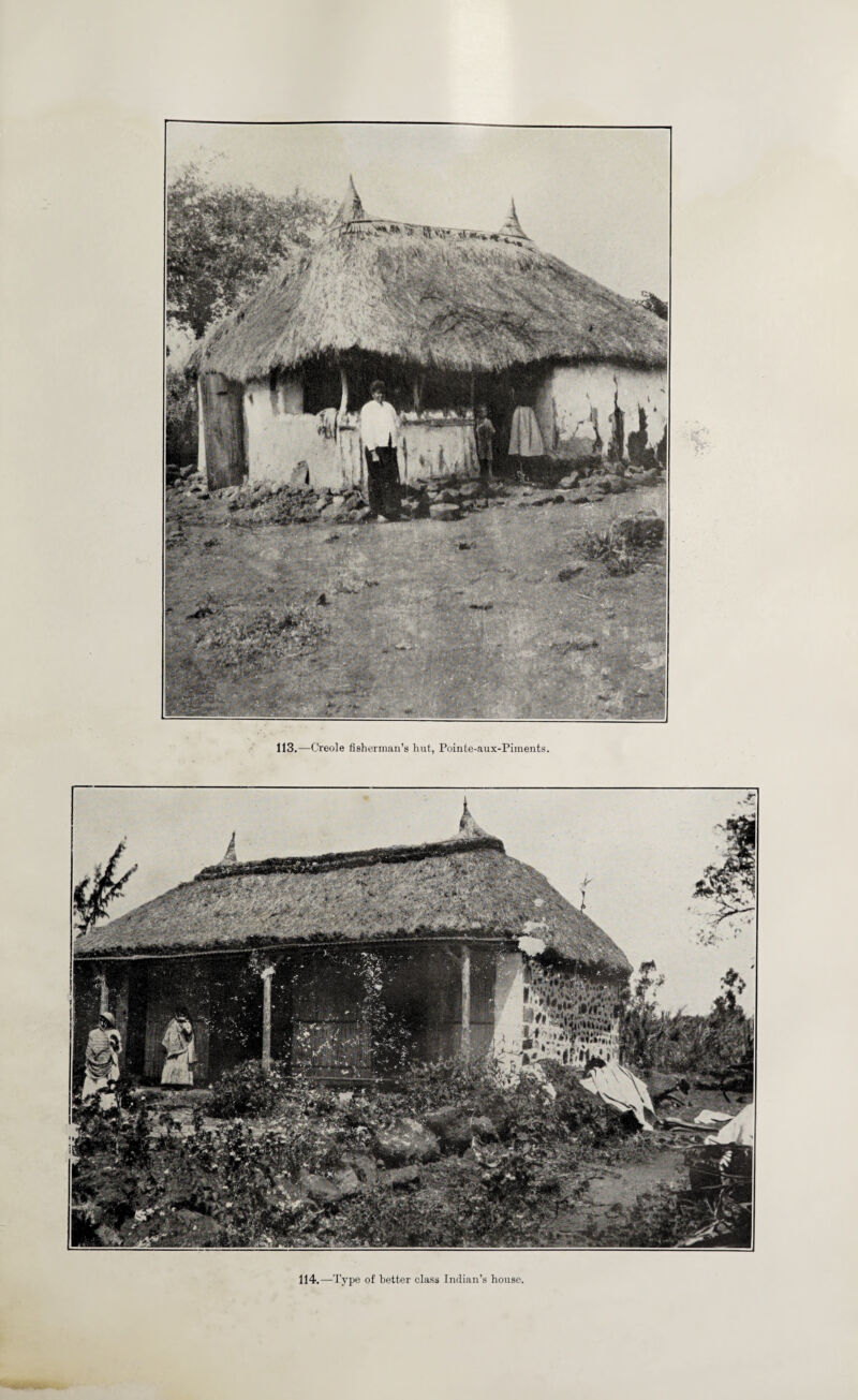 113.—Creole fisherman’s hut, Pointe-aux-Piments. 114.—Type of better class Indian’s house,