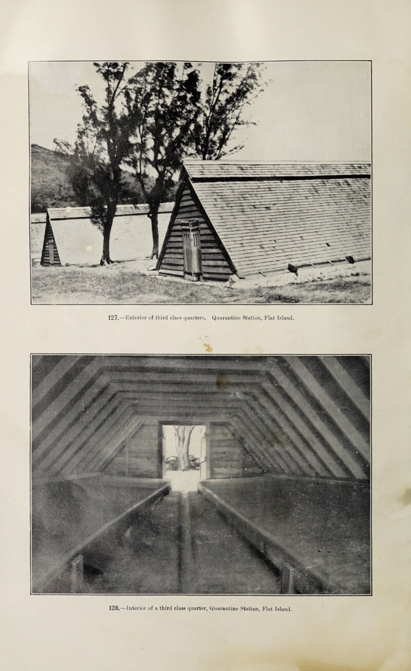 127.—Exterior of third class quarters. Quarantine Station, Flat Island. 128.—Interior of a third class quarter, Quarantine Station, Flat Island