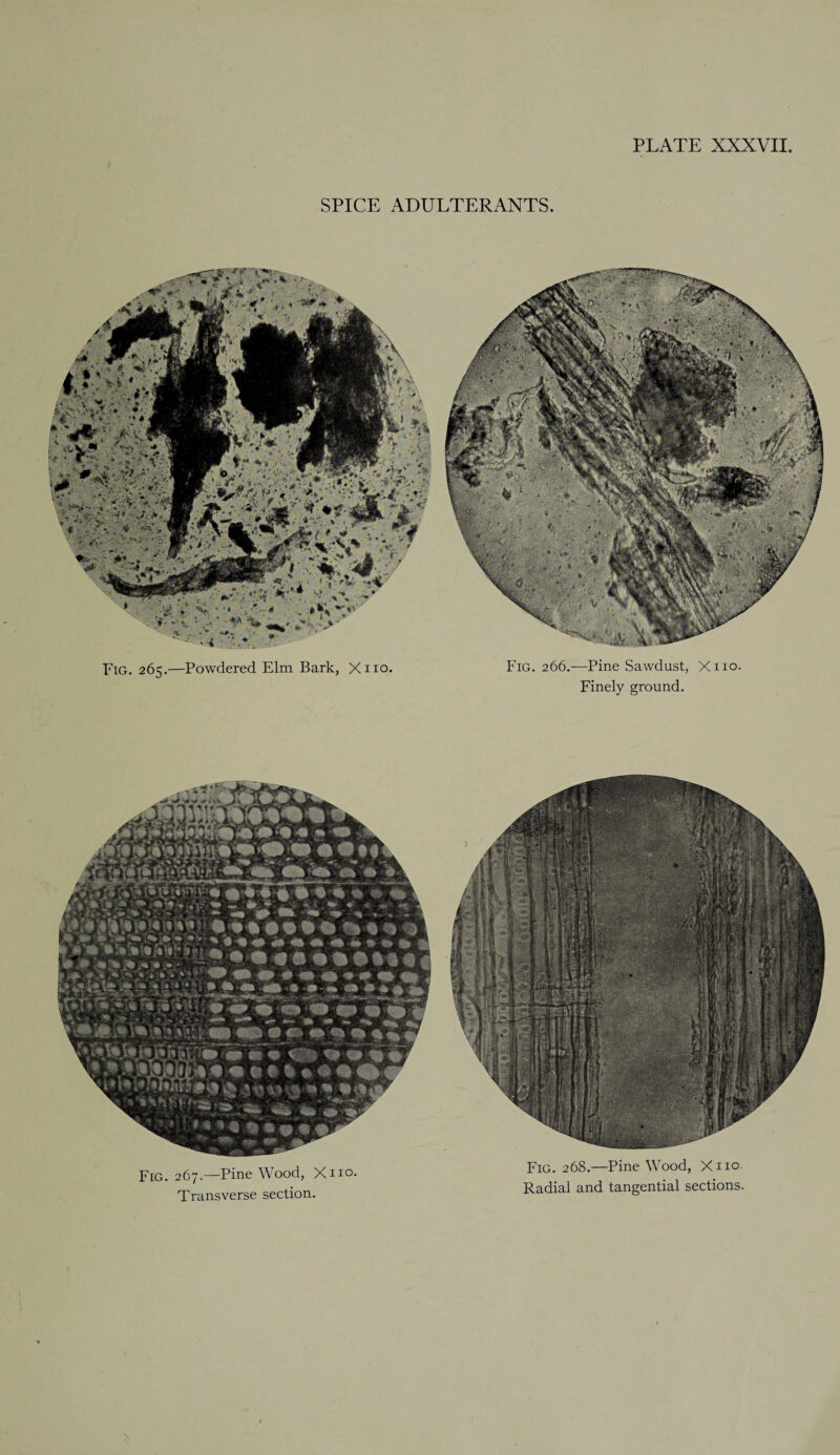 SPICE ADULTERANTS. Fig. 265.—Powdered Elm Bark, Xno. Fig. 266.—Pine Sawdust, Xno. Finely ground. Fig. 267.—Pine Wood, Xno. Transverse section. Fig. 268.—Pine Wood, Xno Radial and tangential sections.