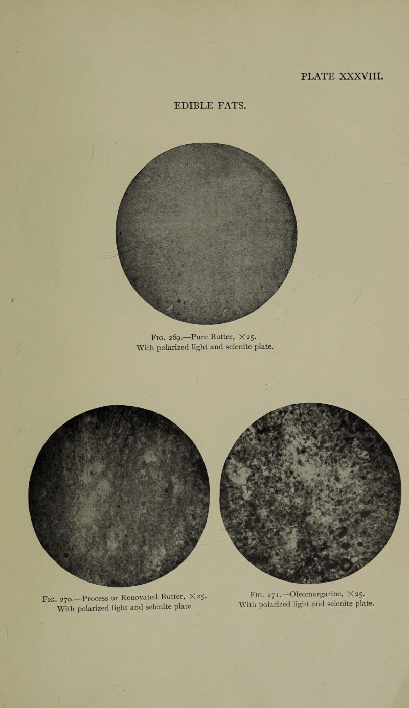 EDIBLE FATS. Fig. 269.—Pure Butter, X25. With polarized light and selenite plate. Fig. 270.—Process or Renovated Butter, X25. With polarized light and selenite plate. Fig. 271.—Oleomargarine, X25. With polarized light and selenite plate.