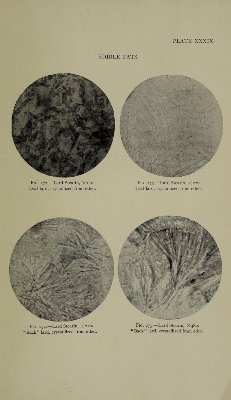EDIBLE FATS. Fig. 272.—Lard Stearin, Xno. Leaf lard, crystallized from ether. Fig. 273.—Lard Stearin, X220. Leaf lard, crystallized from ether. Fig. 274.—Lard Stearin, X220. “Back” lard, crystallized from ether. Fig. 275.—Lard Stearin, X480. “Back” lard, crystallized from ether. Tte *sgs ‘•\~v; A. -A '.jjZ****^