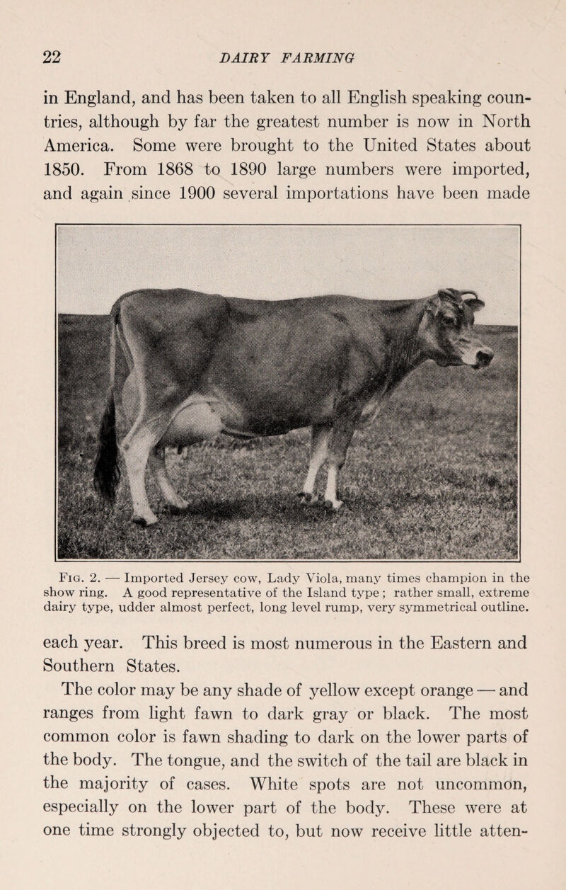 in England, and has been taken to all English speaking coun¬ tries, although by far the greatest number is now in North America. Some were brought to the United States about 1850. From 1868 to 1890 large numbers were imported, and again since 1900 several importations have been made Fig. 2. — Imported Jersey cow, Lady Viola, many times champion in the show ring. A good representative of the Island type ; rather small, extreme dairy type, udder almost perfect, long level rump, very symmetrical outline. each year. This breed is most numerous in the Eastern and Southern States. The color may be any shade of yellow except orange — and ranges from light fawn to dark gray or black. The most common color is fawn shading to dark on the lower parts of the body. The tongue, and the switch of the tail are black in the majority of cases. White spots are not uncommon, especially on the lower part of the body. These were at one time strongly objected to, but now receive little atten-