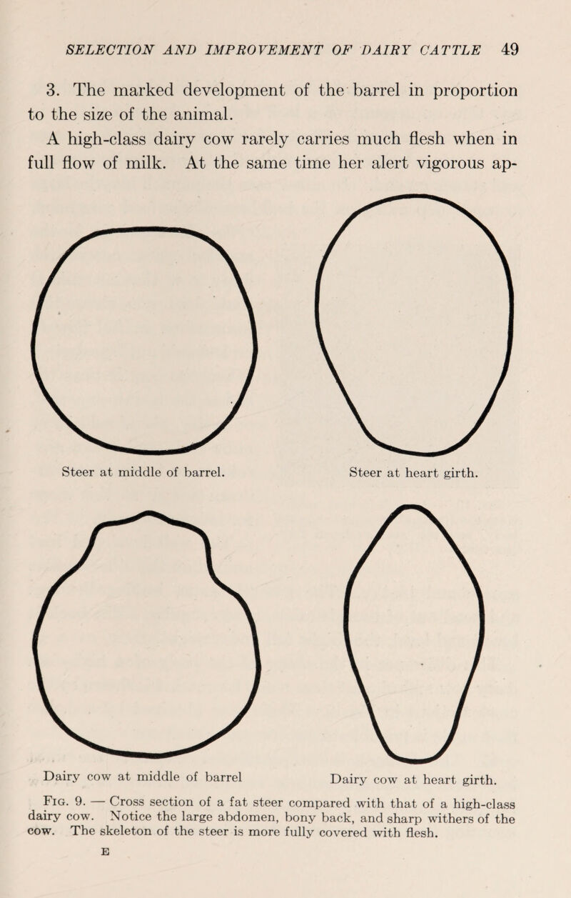 3. The marked development of the barrel in proportion to the size of the animal. A high-class dairy cow rarely carries much flesh when in full flow of milk. At the same time her alert vigorous ap- Fig. 9. — Cross section of a fat steer compared with that of a high-class dairy cow. Notice the large abdomen, bony back, and sharp withers of the cow. The skeleton of the steer is more fully covered with flesh. E