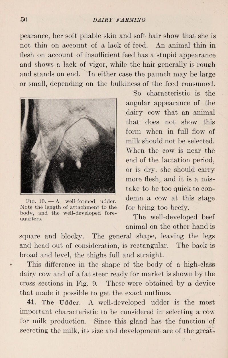 pearance, her soft pliable skin and soft hair show that she is not thin on account of a lack of feed. An animal thin in flesh on account of insufficient feed has a stupid appearance and shows a lack of vigor, while the hair generally is rough and stands on end. In either case the paunch may be large or small, depending on the bulkiness of the feed consumed. So characteristic is the angular appearance of the dairy cow that an animal that does not show this form when in full flow of milk should not be selected. When the cow is near the end of the lactation period, or is dry, she should carry more flesh, and it is a mis¬ take to be too quick to con¬ demn a cow at this stage for being too beefy. The well-developed beef animal on the other hand is square and blocky. The general shape, leaving the legs and head out of consideration, is rectangular. The back is broad and level, the thighs full and straight. This difference in the shape of the body of a high-class dairy cow and of a fat steer ready for market is shown by the cross sections in Fig. 9. These were obtained by a device that made it possible to get the exact outlines. 41. The Udder. A well-developed udder is the most important characteristic to be considered in selecting a cow for milk production. Since this gland has the function of secreting the milk, its size and development are of the greats Fig. 10. —-A well-formed udder. Note the length of attachment to the body, and the well-developed fore¬ quarters.