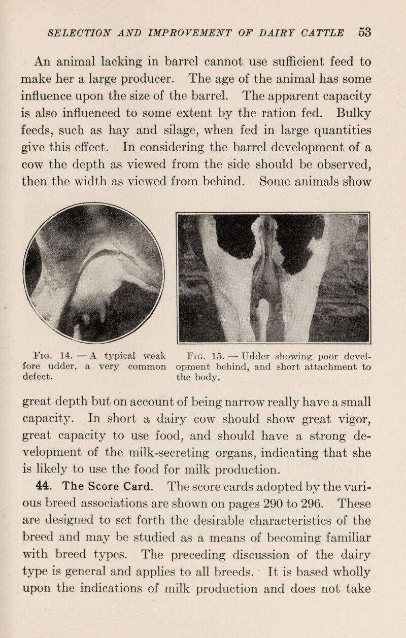 An animal lacking in barrel cannot use sufficient feed to make her a large producer. The age of the animal has some influence upon the size of the barrel. The apparent capacity is also influenced to some extent by the ration fed. Bulky feeds, such as hay and silage, when fed in large quantities give this effect. In considering the barrel development of a cow the depth as viewed from the side should be observed, then the width as viewed from behind. Some animals show Fig. 14. — A typical weak fore udder, a very common defect. Fig. 15. — Udder showing poor devel¬ opment behind, and short attachment to the body. great depth but on account of being narrow really have a small capacity. In short a dairy cow should show great vigor, great capacity to use food, and should have a strong de¬ velopment of the milk-secreting organs, indicating that she is likely to use the food for milk production. 44. The Score Card. The score cards adopted by the vari¬ ous breed associations are shown on pages 290 to 296. These are designed to set forth the desirable characteristics of the breed and may be studied as a means of becoming familiar with breed types. The preceding discussion of the dairy type is general and applies to all breeds. * It is based wholly upon the indications of milk production and does not take