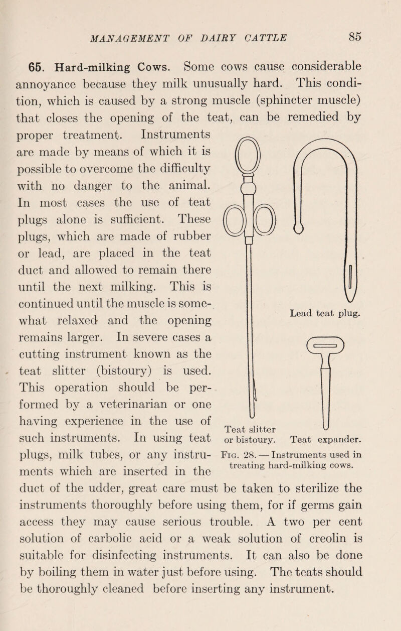 65. Hard-milking Cows. Some cows cause considerable annoyance because they milk unusually hard. This condi¬ tion, which is caused by a strong muscle (sphincter muscle) that closes the opening of the teat, can be remedied by proper treatment. Instruments are made by means of which it is possible to overcome the difficulty with no danger to the animal. In most cases the use of teat plugs alone is sufficient. These plugs, which are made of rubber or lead, are placed in the teat duct and allowed to remain there until the next milking. This is continued until the muscle is some¬ what relaxed and the opening remains larger. In severe cases a cutting instrument known as the . teat slitter (bistoury) is used. This operation should be per¬ formed by a veterinarian or one having experience in the use of such instruments. In using teat plugs, milk tubes, or any instru¬ ments which are inserted in the duct of the udder, great care must be taken to sterilize the instruments thoroughly before using them, for if germs gain access they may cause serious trouble. A two per cent solution of carbolic acid or a weak solution of creolin is suitable for disinfecting instruments. It can also be done by boiling them in water just before using. The teats should be thoroughly cleaned before inserting any instrument. or bistoury. Teat expander. Fig. 28. — Instruments used in treating hard-milking cows.