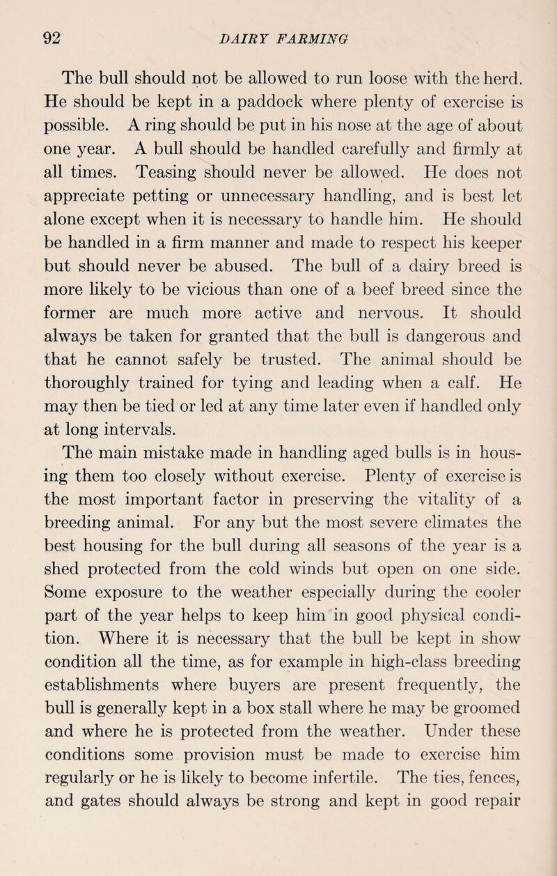 The bull should not be allowed to run loose with the herd. He should be kept in a paddock where plenty of exercise is possible. A ring should be put in his nose at the age of about one year. A bull should be handled carefully and firmly at all times. Teasing should never be allowed. He does not appreciate petting or unnecessary handling, and is best let alone except when it is necessary to handle him. He should be handled in a firm manner and made to respect his keeper but should never be abused. The bull of a dairy breed is more likely to be vicious than one of a beef breed since the former are much more active and nervous. It should always be taken for granted that the bull is dangerous and that he cannot safely be trusted. The animal should be thoroughly trained for tying and leading when a calf. He may then be tied or led at any time later even if handled only at long intervals. The main mistake made in handling aged bulls is in hous¬ ing them too closely without exercise. Plenty of exercise is the most important factor in preserving the vitality of a breeding animal. For any but the most severe climates the best housing for the bull during all seasons of the year is a shed protected from the cold winds but open on one side. Some exposure to the weather especially during the cooler part of the year helps to keep him in good physical condi¬ tion. Where it is necessary that the bull be kept in show condition all the time, as for example in high-class breeding establishments where buyers are present frequently, the bull is generally kept in a box stall where he may be groomed and where he is protected from the weather. Under these conditions some provision must be made to exercise him regularly or he is likely to become infertile. The ties, fences, and gates should always be strong and kept in good repair