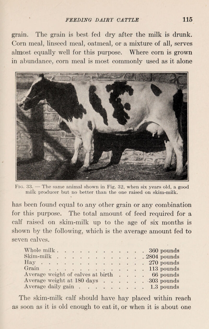 grain. The grain is best fed dry after the milk is drunk. Corn meal, linseed meal, oatmeal, or a mixture of all, serves almost equally well for this purpose. Where corn is grown in abundance, corn meal is most commonly used as it alone Fig. 33. —- The same animal shown in Fig. 32, when six years old, a good milk producer but no better than the one raised on skim-milk. has been found equal to any other grain or any combination for this purpose. The total amount of feed required for a calf raised on skim-milk up to the age of six months is shown by the following, which is the average amount fed to seven calves. Whole milk. 360 pounds Skim-milk. 2804 pounds Hay. 270 pounds Grain.113 pounds Average weight of calves at birth .... 66 pounds Average weight at 180 days. 303 pounds Average daily gain.1.3 pounds The skim-milk calf should have hay placed within reach as soon as it is old enough to eat it, or when it is about one