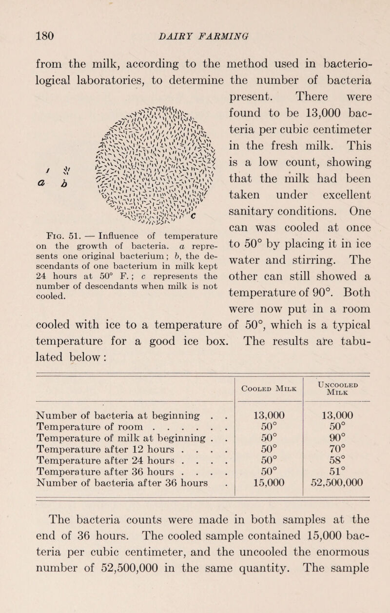 from the milk, according to the method used in bacterio¬ logical laboratories, to determine the number of bacteria present. There were found to be 13,000 bac¬ teria per cubic centimeter in the fresh milk. This is a low count, showing that the milk had been taken under excellent sanitary conditions. One can was cooled at once to 50° by placing it in ice water and stirring. The other can still showed a temperature of 90°. Both were now put in a room cooled with ice to a temperature of 50°, which is a typical temperature for a good ice box. The results are tabu¬ lated below: Cooled Milk Uncooled Milk Number of bacteria at beginning . 13,000 13,000 Temperature of room. 50° 50° Temperature of milk at beginning . . 50° 90° Temperature after 12 hours .... 50° 70° Temperature after 24 hours .... 50° 58° Temperature after 36 hours .... 50° 51° Number of bacteria after 36 hours 15,000 52,500,000 The bacteria counts were made in both samples at the end of 36 hours. The cooled sample contained 15,000 bac¬ teria per cubic centimeter, and the uncooled the enormous number of 52,500,000 in the same quantity. The sample vV \i a Fig. 51. — Influence of temperature on the growth of bacteria, a repre¬ sents one original bacterium; b, the de¬ scendants of one bacterium in milk kept 24 hours at 50° F. ; c represents the number of descendants when milk is not cooled.
