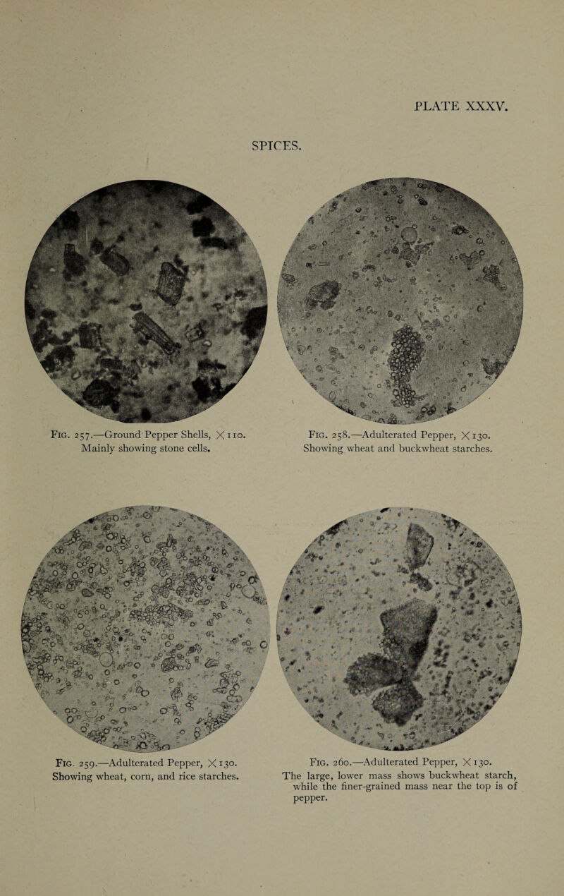 SPICES. Fig. 257.—Ground Pepper Shells, Xno. Mainly showing stone cells. Fig. 259.—Adulterated Pepper, X 130. Showing wheat, corn, and rice starches. Fig. 258.—Adulterated Pepper, X130. Showing wheat and buckwheat starches. Fig. 260.—Adulterated Pepper, X130. The large, lower mass shows buckwheat starch, while the finer-grained mass near the top is of pepper.