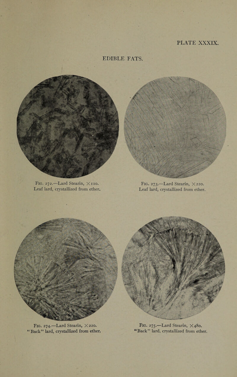 EDIBLE FATS. Fig. 272.—Lard Stearin, Xno. Leaf lard, crystallized from ether. Fig. 273.—Lard Stearin, X220. Leaf lard, crystallized from ether. Fig. 274.—Lard Stearin, X220. “ Back” lard, crystallized from ether. Fig. 275.—Lard Stearin, X480. “Back” lard, crystallized from ether.