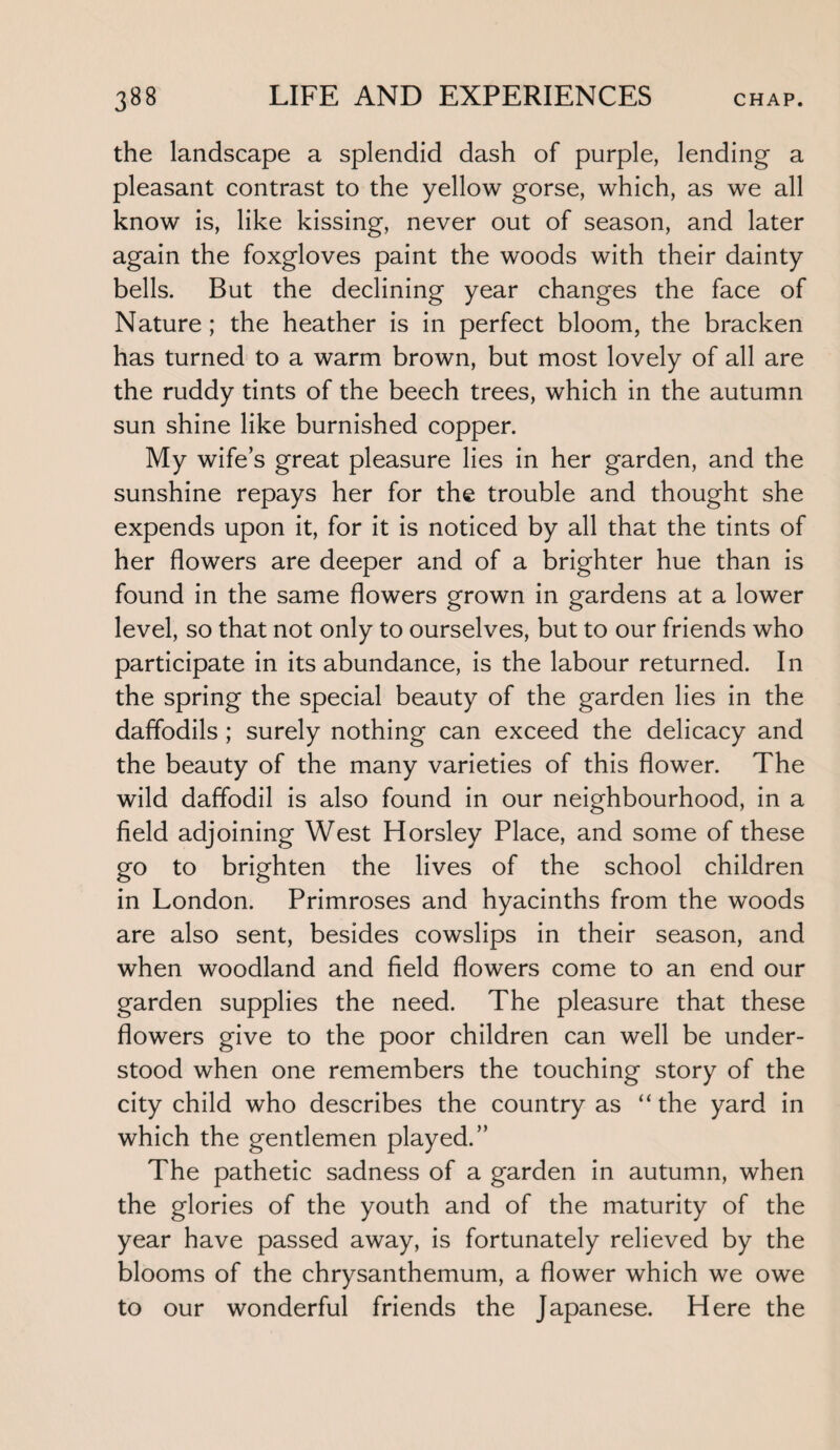 the landscape a splendid dash of purple, lending a pleasant contrast to the yellow gorse, which, as we all know is, like kissing, never out of season, and later again the foxgloves paint the woods with their dainty bells. But the declining year changes the face of Nature ; the heather is in perfect bloom, the bracken has turned to a warm brown, but most lovely of all are the ruddy tints of the beech trees, which in the autumn sun shine like burnished copper. My wife’s great pleasure lies in her garden, and the sunshine repays her for the trouble and thought she expends upon it, for it is noticed by all that the tints of her flowers are deeper and of a brighter hue than is found in the same flowers grown in gardens at a lower level, so that not only to ourselves, but to our friends who participate in its abundance, is the labour returned. In the spring the special beauty of the garden lies in the daffodils ; surely nothing can exceed the delicacy and the beauty of the many varieties of this flower. The wild daffodil is also found in our neighbourhood, in a field adjoining West Horsley Place, and some of these go to brighten the lives of the school children in London. Primroses and hyacinths from the woods are also sent, besides cowslips in their season, and when woodland and field flowers come to an end our garden supplies the need. The pleasure that these flowers give to the poor children can well be under¬ stood when one remembers the touching story of the city child who describes the country as “the yard in which the gentlemen played.” The pathetic sadness of a garden in autumn, when the glories of the youth and of the maturity of the year have passed away, is fortunately relieved by the blooms of the chrysanthemum, a flower which we owe to our wonderful friends the Japanese. Here the