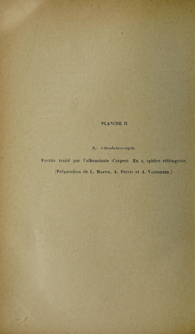 S,>. i< tei ohemorragiæ. Frottis traité par l’albuminate d’argent En c, sphère réfringente. (Préparation de L. Martin, A. Petiit et A. Vaudremer.)