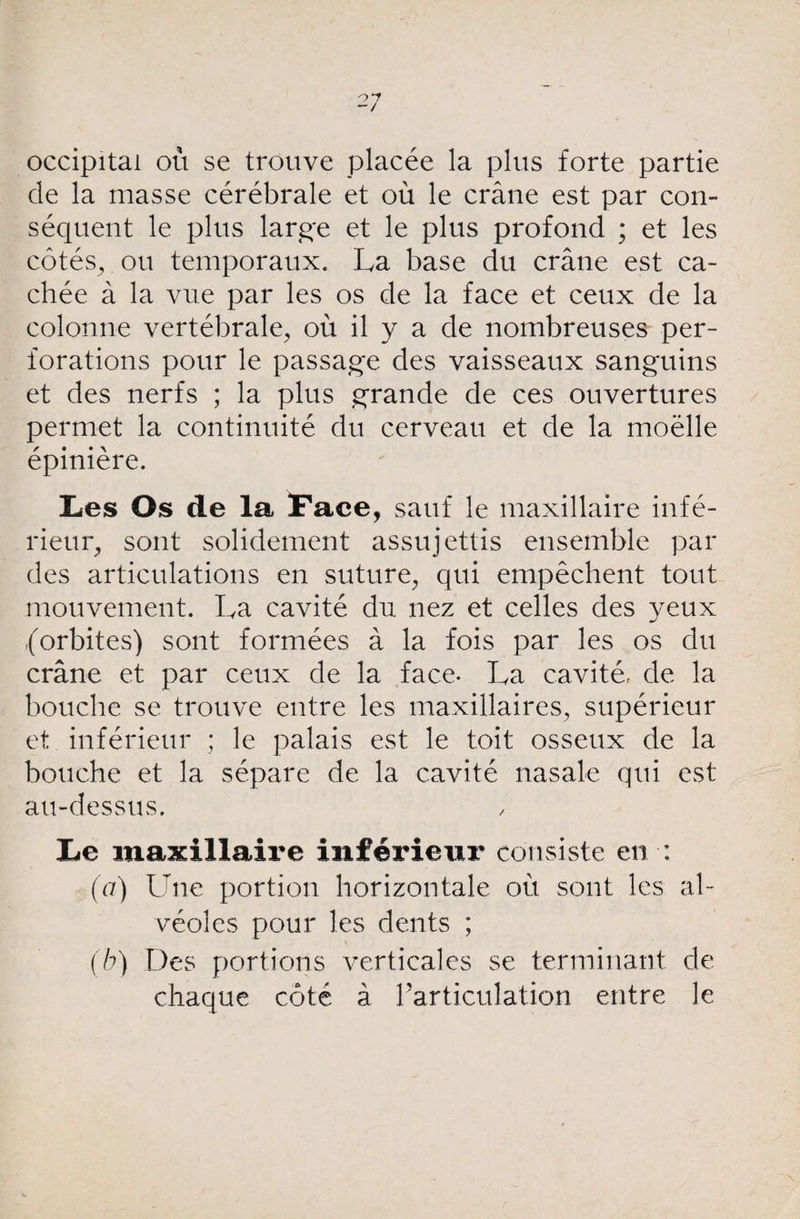 occipital où se trouve placée la plus forte partie de la masse cérébrale et où le crâne est par con¬ séquent le plus large et le plus profond ; et les côtés, ou temporaux. La base du crâne est ca¬ chée à la vue par les os de la face et ceux de la colonne vertébrale, où il y a de nombreuses per¬ forations pour le passage des vaisseaux sanguins et des nerfs ; la plus grande de ces ouvertures permet la continuité du cerveau et de la moelle épinière. Les Os de la Face, sauf le maxillaire infé¬ rieur, sont solidement assujettis ensemble par des articulations en suture, qui empêchent tout mouvement. La cavité du nez et celles des yeux (orbites) sont formées à la fois par les os du crâne et par ceux de la face- La cavité, de la bouche se trouve entre les maxillaires, supérieur et inférieur ; le palais est le toit osseux de la bouche et la sépare de la cavité nasale qui est au-dessus. Le maxillaire inférieur consiste en : (a) Une portion horizontale où sont les al¬ véoles pour les dents ; (b) Des portions verticales se terminant de chaque côté à l’articulation entre le