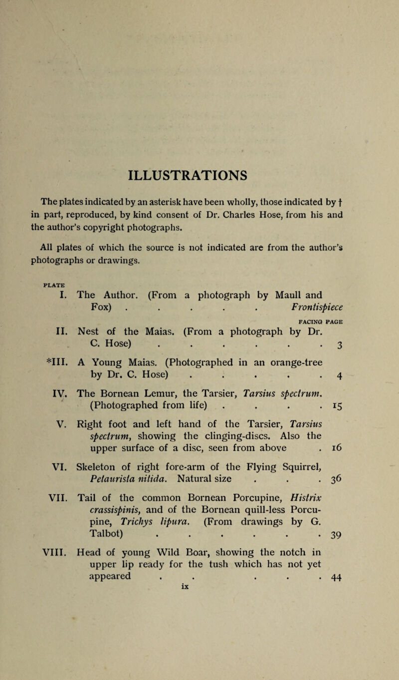 The plates indicated by an asterisk have been wholly, those indicated by f in part, reproduced, by kind consent of Dr. Charles Hose, from his and the author’s copyright photographs. All plates of which the source is not indicated are from the author’s photographs or drawings. PLATE I. The Author. (From a photograph by Maull and Fox) . . . . Frontispiece FACING PAGE II. Nest of the Maias. (From a photograph by Dr. C. Hose) . . . . . .3 *111. A Young Maias. (Photographed in an orange-tree by Dr. C. Hose) . . . . .4 IV. The Bornean Lemur, the Tarsier, Tarsius spectrum. (Photographed from life) . . . . 15 V. Right foot and left hand of the Tarsier, Tarsius spectrum, showing the clinging-discs. Also the upper surface of a disc, seen from above . 16 VI. Skeleton of right fore-arm of the Flying Squirrel, Petaurista nitida. Natural size . . . 36 VII. Tail of the common Bornean Porcupine, Histrix crassispinis, and of the Bornean quill-less Porcu¬ pine, Trichys lipura. (From drawings by G. Talbot) . . . . . .39 VIII. Head of young Wild Boar, showing the notch in upper lip ready for the tush which has not yet appeared . . ... 44