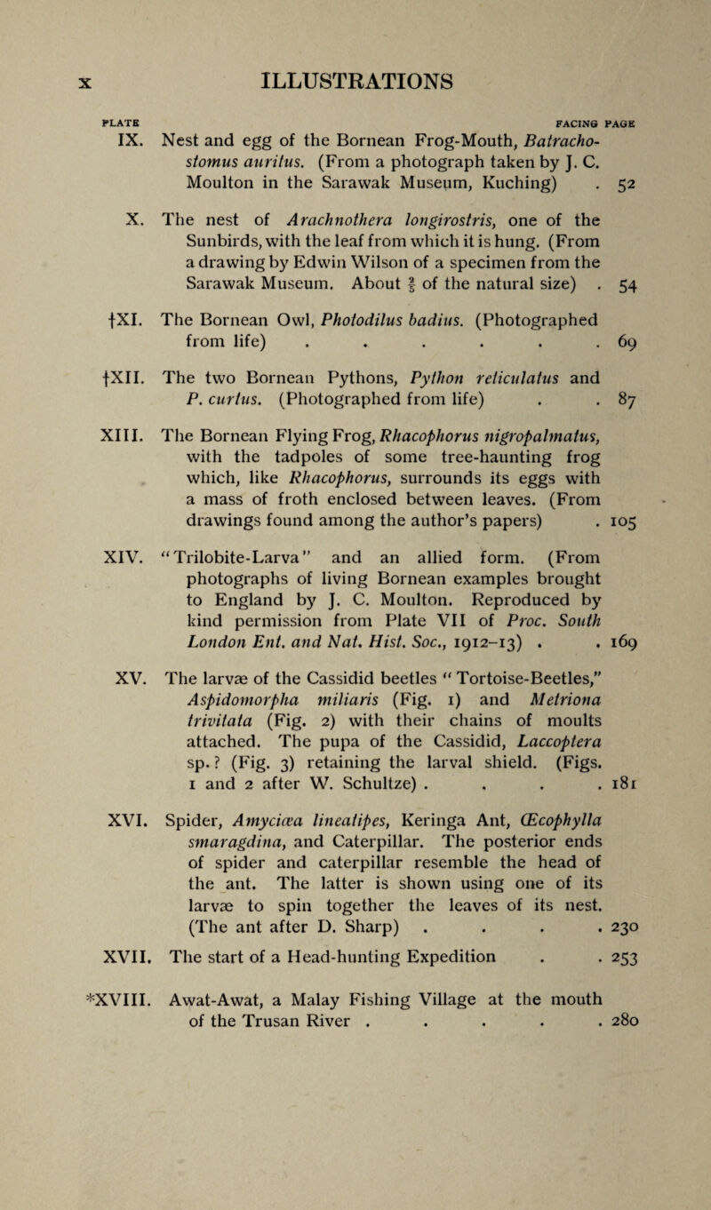 PLATE FACING PAGE IX. Nest and egg of the Bornean Frog-Mouth, Batracho- stomus auritus. (From a photograph taken by J. C. Moulton in the Sarawak Museum, Kuching) . 52 X. The nest of Arachnothera longirostris, one of the Sunbirds, with the leaf from which it is hung. (From a drawing by Edwin Wilson of a specimen from the Sarawak Museum. About § of the natural size) . 54 fXI. The Bornean Owl, Photodilus badius. (Photographed from life) . . . . . .69 fXII. The two Bornean Pythons, Python reticulatus and P. curtus. (Photographed from life) . . 87 XIII. The Bornean Flying Frog, Rhacophorus nigropalmatus, with the tadpoles of some tree-haunting frog which, like Rhacophorus, surrounds its eggs with a mass of froth enclosed between leaves. (From drawings found among the author’s papers) . 105 XIV. “Trilobite-Larva” and an allied form. (From photographs of living Bornean examples brought to England by J. C. Moulton. Reproduced by kind permission from Plate VII of Proc. South London Ent. and Nat. Hist. Soc., 1912-13) . . 169 XV. The larvae of the Cassidid beetles “ Tortoise-Beetles,” Aspidomorpha miliaris (Fig. 1) and Metriona trivitaia (Fig. 2) with their chains of moults attached. The pupa of the Cassidid, Laccoptera sp. ? (Fig. 3) retaining the larval shield. (Figs. 1 and 2 after W. Schultze) . . . .181 XVI. Spider, Amycicea lineatipes, Keringa Ant, CEcophylla smaragdina, and Caterpillar. The posterior ends of spider and caterpillar resemble the head of the ant. The latter is shown using one of its larvae to spin together the leaves of its nest. (The ant after D. Sharp) .... 230 XVII. The start of a Head-hunting Expedition . . 253 *XVIII. Awat-Awat, a Malay Fishing Village at the mouth of the Trusan River ..... 280