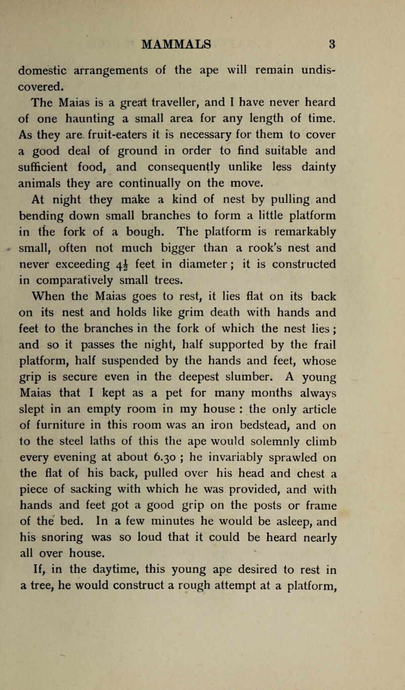 domestic arrangements of the ape will remain undis¬ covered. The Maias is a great traveller, and I have never heard of one haunting a small area for any length of time. As they are fruit-eaters it is necessary for them to cover a good deal of ground in order to find suitable and sufficient food, and consequently unlike less dainty animals they are continually on the move. At night they make a kind of nest by pulling and bending down small branches to form a little platform in the fork of a bough. The platform is remarkably small, often not much bigger than a rook’s nest and never exceeding 4J feet in diameter; it is constructed in comparatively small trees. When the Maias goes to rest, it lies flat on its back on its nest and holds like grim death with hands and feet to the branches in the fork of which the nest lies; and so it passes the night, half supported by the frail platform, half suspended by the hands and feet, whose grip is secure even in the deepest slumber. A young Maias that I kept as a pet for many months always slept in an empty room in my house : the only article of furniture in this room was an iron bedstead, and on to the steel laths of this the ape would solemnly climb every evening at about 6.30 ; he invariably sprawled on the flat of his back, pulled over his head and chest a piece of sacking with which he was provided, and with hands and feet got a good grip on the posts or frame of the bed. In a few minutes he would be asleep, and his snoring was so loud that it could be heard nearly all over house. If, in the daytime, this young ape desired to rest in a tree, he would construct a rough attempt at a platform,