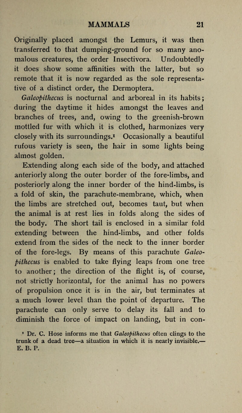 Originally placed amongst the Lemurs, it was then transferred to that dumping-ground for so many ano¬ malous creatures, the order Insectivora. Undoubtedly it does show some affinities with the latter, but so remote that it is now regarded as the sole representa¬ tive of a distinct order, the Dermoptera. Galeopithecus is nocturnal and arboreal in its habits; during the daytime it hides amongst the leaves and branches of trees, and, owing to the greenish-brown mottled fur with which it is clothed, harmonizes very closely with its surroundings.1 Occasionally a beautiful rufous variety is seen, the hair in some lights being almost golden. Extending along each side of the body, and attached anteriorly along the outer border of the fore-limbs, and posteriorly along the inner border of the hind-limbs, is a fold of skin, the parachute-membrane, which, when the limbs are stretched out, becomes taut, but when the animal is at rest lies in folds along the sides of the body. The short tail is enclosed in a similar fold extending between the hind-limbs, and other folds extend from the sides of the neck to the inner border of the fore-legs. By means of this parachute Galeo- pithccus is enabled to take flying leaps from one tree to another; the direction of the flight is, of course, not strictly horizontal, for the animal has no powers of propulsion once it is in the air, but terminates at a much lower level than the point of departure. The parachute can only serve to delay its fall and to diminish the force of impact on landing, but in con- 1 Dr. C. Hose informs me that Galeopithecus often clings to the trunk of a dead tree—a situation in which it is nearly invisible.— E. B. P.