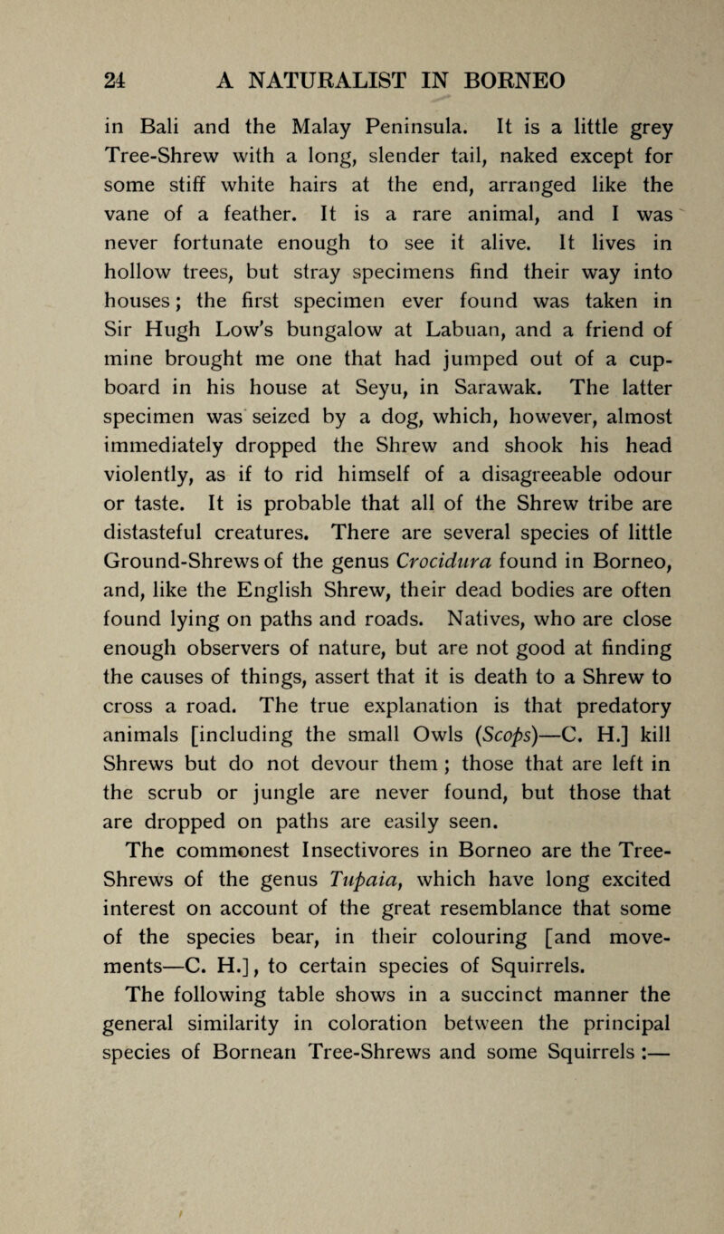 in Bali and the Malay Peninsula. It is a little grey Tree-Shrew with a long, slender tail, naked except for some stiff white hairs at the end, arranged like the vane of a feather. It is a rare animal, and I was never fortunate enough to see it alive. It lives in hollow trees, but stray specimens find their way into houses; the first specimen ever found was taken in Sir Hugh Low's bungalow at Labuan, and a friend of mine brought me one that had jumped out of a cup¬ board in his house at Seyu, in Sarawak. The latter specimen was seized by a dog, which, however, almost immediately dropped the Shrew and shook his head violently, as if to rid himself of a disagreeable odour or taste. It is probable that all of the Shrew tribe are distasteful creatures. There are several species of little Ground-Shrews of the genus Crocidura found in Borneo, and, like the English Shrew, their dead bodies are often found lying on paths and roads. Natives, who are close enough observers of nature, but are not good at finding the causes of things, assert that it is death to a Shrew to cross a road. The true explanation is that predatory animals [including the small Owls (Scops)—C. H.] kill Shrews but do not devour them ; those that are left in the scrub or jungle are never found, but those that are dropped on paths are easily seen. The commonest Insectivores in Borneo are the Tree- Shrews of the genus Tupaia, which have long excited interest on account of the great resemblance that some of the species bear, in their colouring [and move¬ ments—C. H.], to certain species of Squirrels. The following table shows in a succinct manner the general similarity in coloration between the principal species of Bornean Tree-Shrews and some Squirrels :—