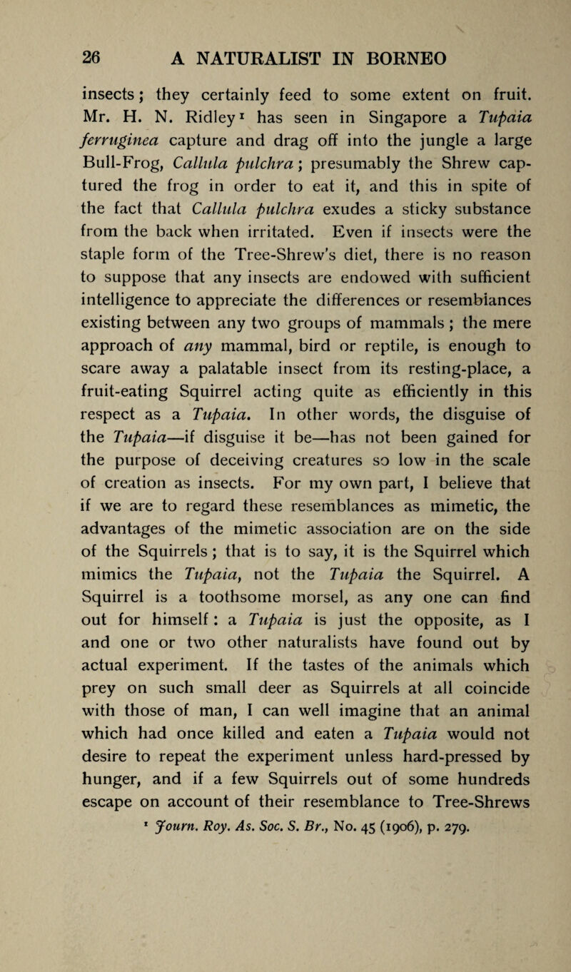 insects; they certainly feed to some extent on fruit. Mr. H. N. Ridley1 has seen in Singapore a Tupaia ferruginea capture and drag off into the jungle a large Bull-Frog, Callula pulchra; presumably the Shrew cap¬ tured the frog in order to eat it, and this in spite of the fact that Callula pulchra exudes a sticky substance from the back when irritated. Even if insects were the staple form of the Tree-Shrew's diet, there is no reason to suppose that any insects are endowed with sufficient intelligence to appreciate the differences or resemblances existing between any two groups of mammals ; the mere approach of any mammal, bird or reptile, is enough to scare away a palatable insect from its resting-place, a fruit-eating Squirrel acting quite as efficiently in this respect as a Tupaia. In other words, the disguise of the Tupaia—if disguise it be—has not been gained for the purpose of deceiving creatures so low in the scale of creation as insects. For my own part, I believe that if we are to regard these resemblances as mimetic, the advantages of the mimetic association are on the side of the Squirrels ; that is to say, it is the Squirrel which mimics the Tupaia, not the Tupaia the Squirrel. A Squirrel is a toothsome morsel, as any one can find out for himself: a Tupaia is just the opposite, as I and one or two other naturalists have found out by actual experiment. If the tastes of the animals which prey on such small deer as Squirrels at all coincide with those of man, I can well imagine that an animal which had once killed and eaten a Tupaia would not desire to repeat the experiment unless hard-pressed by hunger, and if a few Squirrels out of some hundreds escape on account of their resemblance to Tree-Shrews 1 Journ. Roy. As. Soc. S. Br., No. 45 (1906), p. 279.