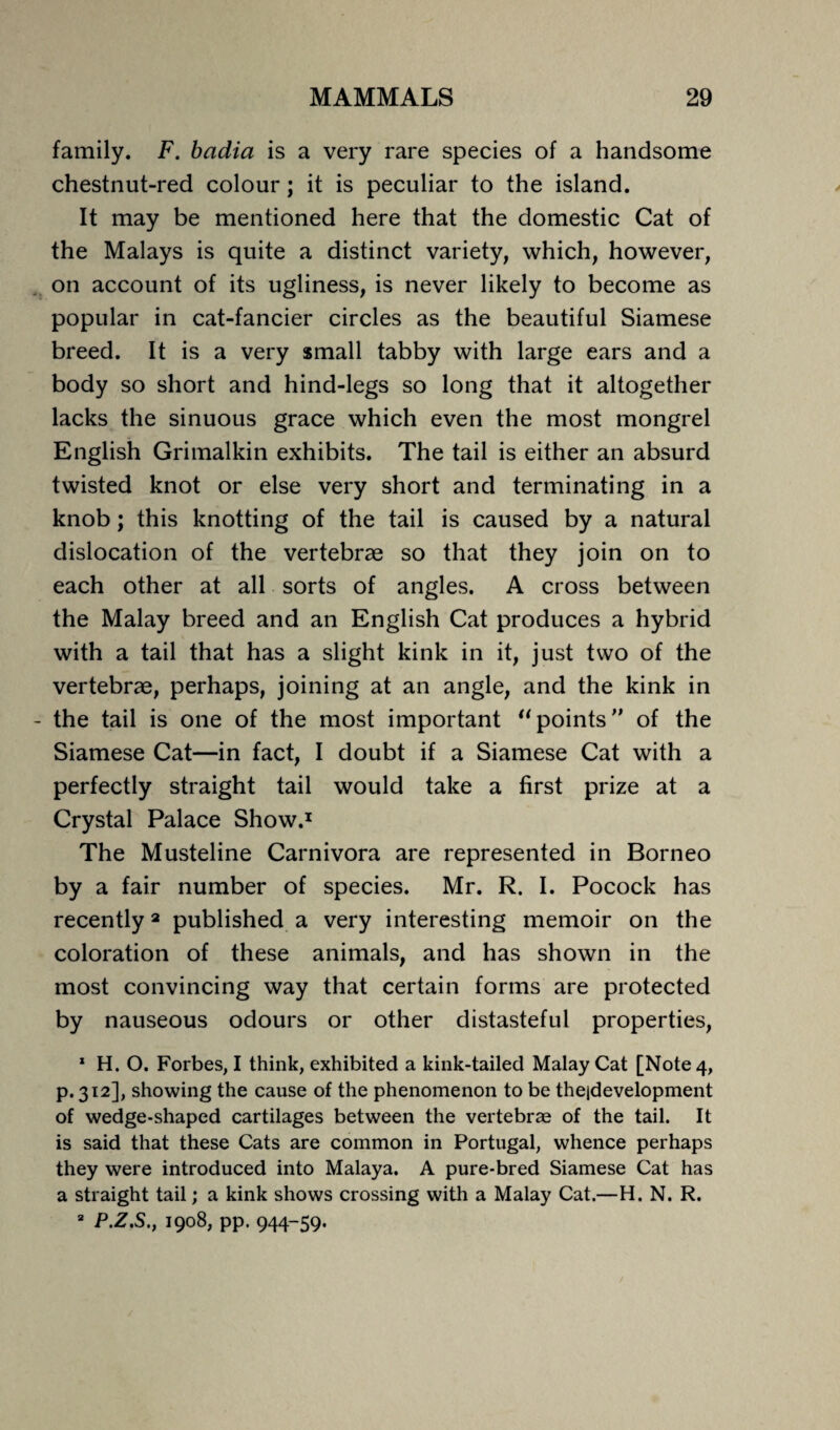 family. F. badia is a very rare species of a handsome chestnut-red colour; it is peculiar to the island. It may be mentioned here that the domestic Cat of the Malays is quite a distinct variety, which, however, on account of its ugliness, is never likely to become as popular in cat-fancier circles as the beautiful Siamese breed. It is a very small tabby with large ears and a body so short and hind-legs so long that it altogether lacks the sinuous grace which even the most mongrel English Grimalkin exhibits. The tail is either an absurd twisted knot or else very short and terminating in a knob; this knotting of the tail is caused by a natural dislocation of the vertebrae so that they join on to each other at all sorts of angles. A cross between the Malay breed and an English Cat produces a hybrid with a tail that has a slight kink in it, just two of the vertebrae, perhaps, joining at an angle, and the kink in the tail is one of the most important upoints of the Siamese Cat—in fact, I doubt if a Siamese Cat with a perfectly straight tail would take a first prize at a Crystal Palace Show.1 The Musteline Carnivora are represented in Borneo by a fair number of species. Mr. R. I. Pocock has recently2 published a very interesting memoir on the coloration of these animals, and has shown in the most convincing way that certain forms are protected by nauseous odours or other distasteful properties, 1 H. O. Forbes, I think, exhibited a kink-tailed Malay Cat [Note 4, p. 312], showing the cause of the phenomenon to be the|development of wedge-shaped cartilages between the vertebrae of the tail. It is said that these Cats are common in Portugal, whence perhaps they were introduced into Malaya. A pure-bred Siamese Cat has a straight tail; a kink shows crossing with a Malay Cat.—H. N. R. 2 P.Z.S., 1908, pp. 944-59.