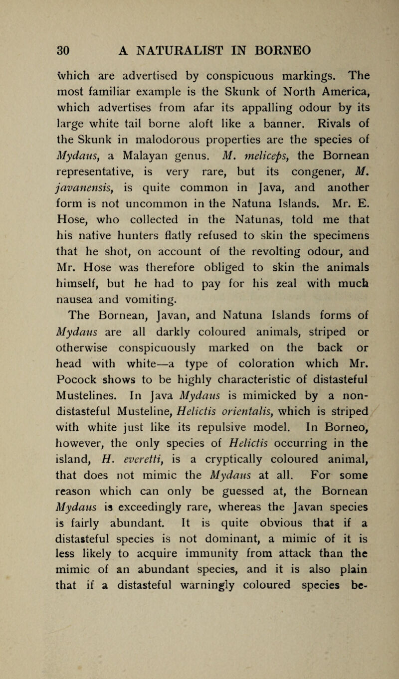 which are advertised by conspicuous markings. The most familiar example is the Skunk of North America, which advertises from afar its appalling odour by its large white tail borne aloft like a banner. Rivals of the Skunk in malodorous properties are the species of Mydaus, a Malayan genus. M. meliceps, the Bornean representative, is very rare, but its congener, M. javanensis, is quite common in Java, and another form is not uncommon in the Natuna Islands. Mr. E. Hose, who collected in the Natunas, told me that his native hunters flatly refused to skin the specimens that he shot, on account of the revolting odour, and Mr. Hose was therefore obliged to skin the animals himself, but he had to pay for his zeal with much nausea and vomiting. The Bornean, Javan, and Natuna Islands forms of Mydaus are all darkly coloured animals, striped or otherwise conspicuously marked on the back or head with white—a type of coloration which Mr. Pocock shows to be highly characteristic of distasteful Mustelines. In Java Mydaus is mimicked by a non¬ distasteful Musteline, Helictis orientalis, which is striped with white just like its repulsive model. In Borneo, however, the only species of Helictis occurring in the island, H. everetti, is a cryptically coloured animal, that does not mimic the Mydaus at all. For some reason which can only be guessed at, the Bornean Mydaus is exceedingly rare, whereas the Javan species is fairly abundant. It is quite obvious that if a distasteful species is not dominant, a mimic of it is less likely to acquire immunity from attack than the mimic of an abundant species, and it is also plain that if a distasteful warningly coloured species be-