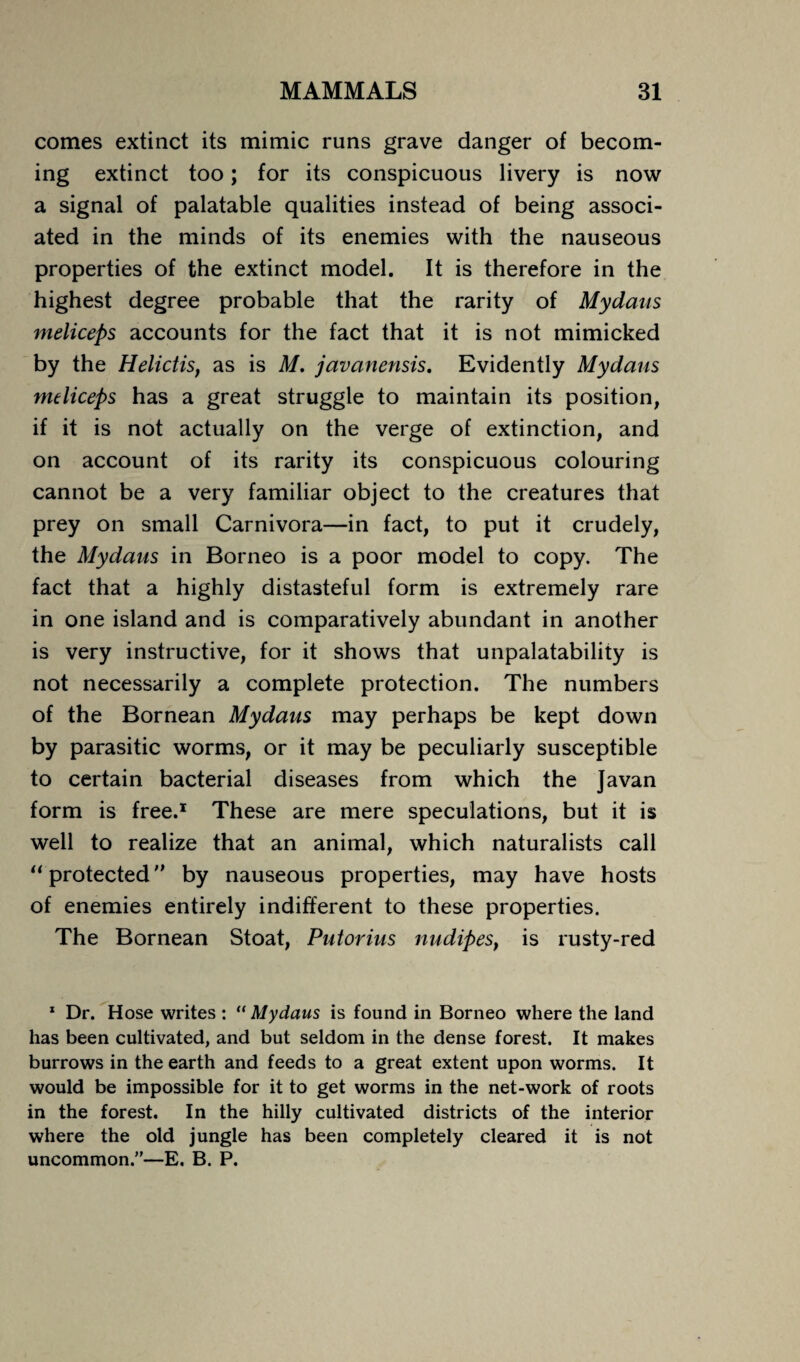 comes extinct its mimic runs grave danger of becom¬ ing extinct too; for its conspicuous livery is now a signal of palatable qualities instead of being associ¬ ated in the minds of its enemies with the nauseous properties of the extinct model. It is therefore in the highest degree probable that the rarity of Mydaus meliceps accounts for the fact that it is not mimicked by the Helictis, as is M. javanensis. Evidently Mydaus meliceps has a great struggle to maintain its position, if it is not actually on the verge of extinction, and on account of its rarity its conspicuous colouring cannot be a very familiar object to the creatures that prey on small Carnivora—in fact, to put it crudely, the Mydaus in Borneo is a poor model to copy. The fact that a highly distasteful form is extremely rare in one island and is comparatively abundant in another is very instructive, for it shows that unpalatability is not necessarily a complete protection. The numbers of the Bornean Mydaus may perhaps be kept down by parasitic worms, or it may be peculiarly susceptible to certain bacterial diseases from which the Javan form is free.1 These are mere speculations, but it is well to realize that an animal, which naturalists call “ protected by nauseous properties, may have hosts of enemies entirely indifferent to these properties. The Bornean Stoat, Putorius nudipes, is rusty-red 1 Dr. Hose writes : “ Mydaus is found in Borneo where the land has been cultivated, and but seldom in the dense forest. It makes burrows in the earth and feeds to a great extent upon worms. It would be impossible for it to get worms in the net-work of roots in the forest. In the hilly cultivated districts of the interior where the old jungle has been completely cleared it is not uncommon.”—E. B. P.