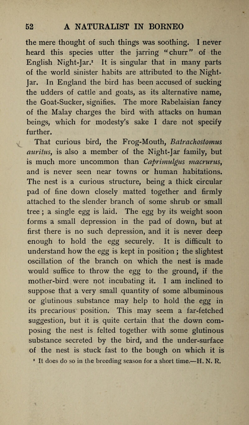 the mere thought of such things was soothing. I never heard this species utter the jarring “churr” of the English Night-Jar.1 It is singular that in many parts of the world sinister habits are attributed to the Night¬ jar. In England the bird has been accused of sucking the udders of cattle and goats, as its alternative name, the Goat-Sucker, signifies. The more Rabelaisian fancy of the Malay charges the bird with attacks on human beings, which for modesty's sake I dare not specify further. That curious bird, the Frog-Mouth, Batrachostomus aurituSy is also a member of the Night-Jar family, but is much more uncommon than Caprimulgus macrurns, and is never seen near towns or human habitations. The nest is a curious structure, being a thick circular pad of fine down closely matted together and firmly attached to the slender branch of some shrub or small \ tree ; a single egg is laid. The egg by its weight soon forms a small depression in the pad of down, but at first there is no such depression, and it is never deep enough to hold the egg securely. It is difficult to understand how the egg is kept in position ; the slightest oscillation of the branch on which the nest is made would suffice to throw the egg to the ground, if the mother-bird were not incubating it. I am inclined to suppose that a very small quantity of some albuminous or glutinous substance may help to hold the egg in its precarious position. This may seem a far-fetched suggestion, but it is quite certain that the down com¬ posing the nest is felted together with some glutinous substance secreted by the bird, and the under-surface of the nest is stuck fast to the bough on which it is * It does do so in the breeding season for a short time.—H. N. R.