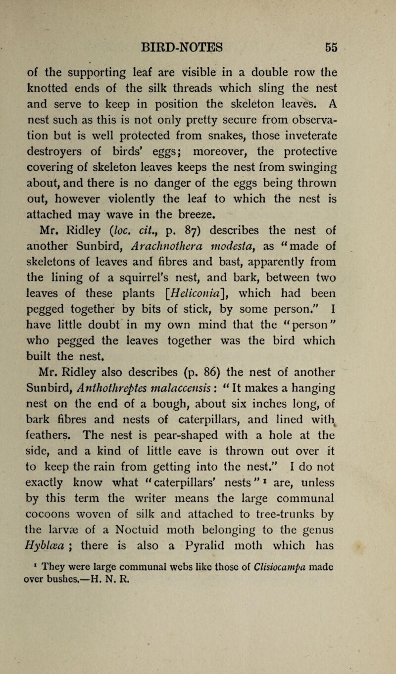 of the supporting leaf are visible in a double row the knotted ends of the silk threads which sling the nest and serve to keep in position the skeleton leaves. A nest such as this is not only pretty secure from observa¬ tion but is well protected from snakes, those inveterate destroyers of birds' eggs; moreover, the protective covering of skeleton leaves keeps the nest from swinging about, and there is no danger of the eggs being thrown out, however violently the leaf to which the nest is attached may wave in the breeze. Mr. Ridley (loc. cit., p. 87) describes the nest of another Sunbird, Arachnothera modesta, as “made of skeletons of leaves and fibres and bast, apparently from the lining of a squirrel's nest, and bark, between two leaves of these plants [Heliconia], which had been pegged together by bits of stick, by some person. I have little doubt in my own mind that the “ person who pegged the leaves together was the bird which built the nest. Mr. Ridley also describes (p. 86) the nest of another Sunbird, Anthothreptes malacccnsis : “ It makes a hanging nest on the end of a bough, about six inches long, of bark fibres and nests of caterpillars, and lined with feathers. The nest is pear-shaped with a hole at the side, and a kind of little eave is thrown out over it to keep the rain from getting into the nest. I do not exactly know what “ caterpillars' nests1 are, unless by this term the writer means the large communal cocoons woven of silk and attached to tree-trunks by the larvae of a Noctuid moth belonging to the genus Hyblcva ; there is also a Pyralid moth which has 1 They were large communal webs like those of Clisiocampa made over bushes.—H. N. R.