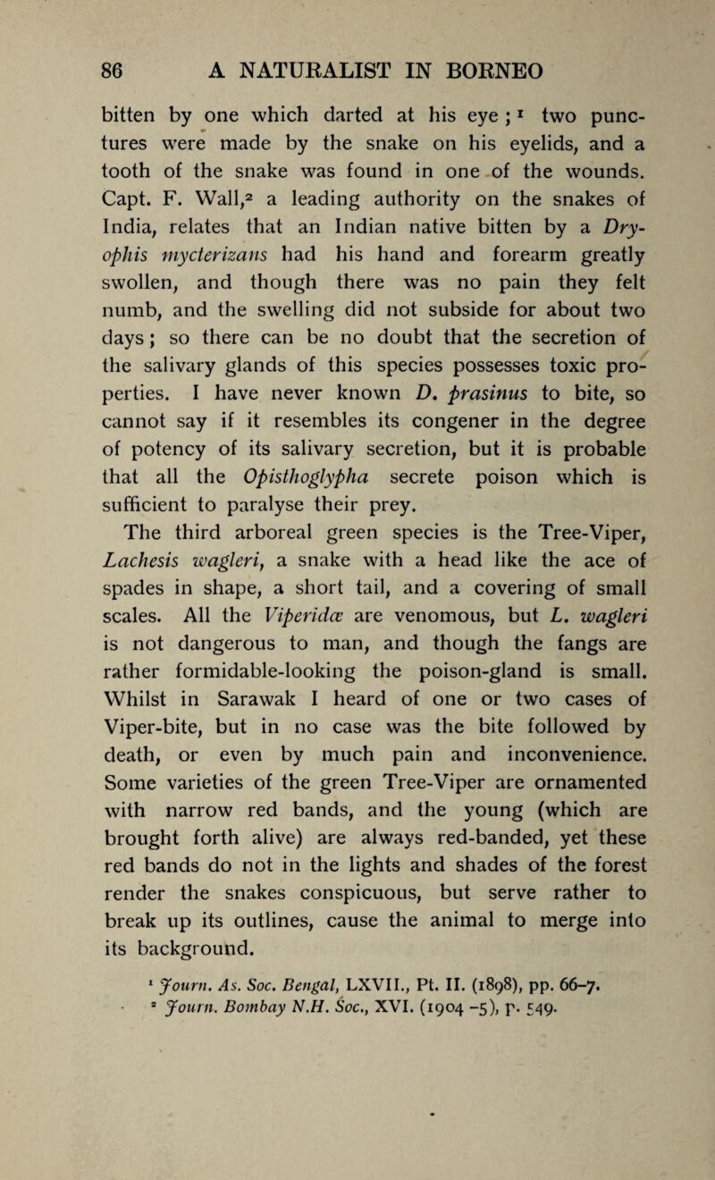 bitten by one which darted at his eye ;1 two punc- w tures were made by the snake on his eyelids, and a tooth of the snake was found in one of the wounds. Capt. F. Wall,2 a leading authority on the snakes of India, relates that an Indian native bitten by a Dry- ophis niycterizans had his hand and forearm greatly swollen, and though there was no pain they felt numb, and the swelling did not subside for about two days; so there can be no doubt that the secretion of the salivary glands of this species possesses toxic pro¬ perties. I have never known D. prasinus to bite, so cannot say if it resembles its congener in the degree of potency of its salivary secretion, but it is probable that all the Opisthoglypha secrete poison which is sufficient to paralyse their prey. The third arboreal green species is the Tree-Viper, Lachesis wagleri, a snake with a head like the ace of spades in shape, a short tail, and a covering of small scales. All the Viperidce are venomous, but L. wagleri is not dangerous to man, and though the fangs are rather formidable-looking the poison-gland is small. Whilst in Sarawak I heard of one or two cases of Viper-bite, but in no case was the bite followed by death, or even by much pain and inconvenience. Some varieties of the green Tree-Viper are ornamented with narrow red bands, and the young (which are brought forth alive) are always red-banded, yet these red bands do not in the lights and shades of the forest render the snakes conspicuous, but serve rather to break up its outlines, cause the animal to merge into its background. 1 Journ. As. Soc. Bengal, LXVII., Pt. II. (1898), pp. 66-7. 2 Journ. Bombay N.H. Soc., XVI. (1904 -5), p. 549.