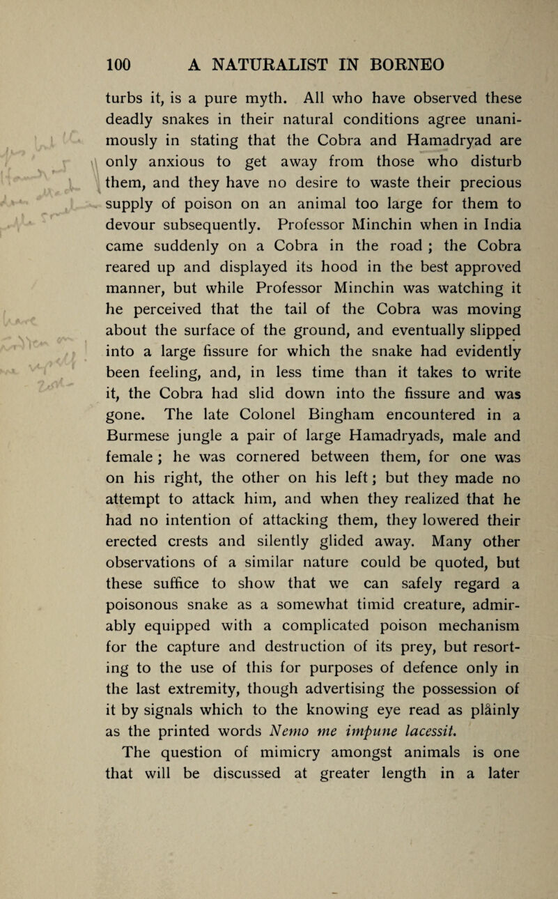 Jy* N t \ jUt> J'- JU- ,» rr a 4 W*^{ turbs it, is a pure myth. All who have observed these deadly snakes in their natural conditions agree unani¬ mously in stating that the Cobra and Hamadryad are only anxious to get away from those who disturb them, and they have no desire to waste their precious supply of poison on an animal too large for them to devour subsequently. Professor Minchin when in India came suddenly on a Cobra in the road ; the Cobra reared up and displayed its hood in the best approved manner, but while Professor Minchin was watching it he perceived that the tail of the Cobra was moving about the surface of the ground, and eventually slipped into a large fissure for which the snake had evidently been feeling, and, in less time than it takes to write it, the Cobra had slid down into the fissure and was gone. The late Colonel Bingham encountered in a Burmese jungle a pair of large Hamadryads, male and female ; he was cornered between them, for one was on his right, the other on his left; but they made no attempt to attack him, and when they realized that he had no intention of attacking them, they lowered their erected crests and silently glided away. Many other observations of a similar nature could be quoted, but these suffice to show that we can safely regard a poisonous snake as a somewhat timid creature, admir¬ ably equipped with a complicated poison mechanism for the capture and destruction of its prey, but resort¬ ing to the use of this for purposes of defence only in the last extremity, though advertising the possession of it by signals which to the knowing eye read as plainly as the printed words Nemo me impune lacessit. The question of mimicry amongst animals is one that will be discussed at greater length in a later