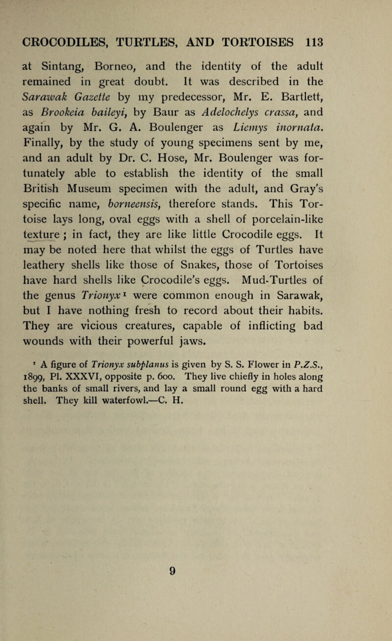 at Sintang, Borneo, and the identity of the adult remained in great doubt. It was described in the Sarawak Gazette by my predecessor, Mr. E. Bartlett, as Brookeia baileyi, by Baur as Adelochelys crassa, and again by Mr. G. A. Boulenger as Liemys inornata. Finally, by the study of young specimens sent by me, and an adult by Dr. C. Hose, Mr. Boulenger was for¬ tunately able to establish the identity of the small British Museum specimen with the adult, and Gray’s specific name, borneensis, therefore stands. This Tor¬ toise lays long, oval eggs with a shell of porcelain-like texture ; in fact, they are like little Crocodile eggs. It may be noted here that whilst the eggs of Turtles have leathery shells like those of Snakes, those of Tortoises have hard shells like Crocodile's eggs. Mud-Turtles of the genus Trionyx1 were common enough in Sarawak, but I have nothing fresh to record about their habits. They are vicious creatures, capable of inflicting bad wounds with their powerful jaws. 1 A figure of Trionyx subplanus is given by S. S. Flower in P.Z.S., 1899, PI. XXXVI, opposite p. 600. They live chiefly in holes along the banks of small rivers, and lay a small round egg with a hard shell. They kill waterfowl.—C. H. 9