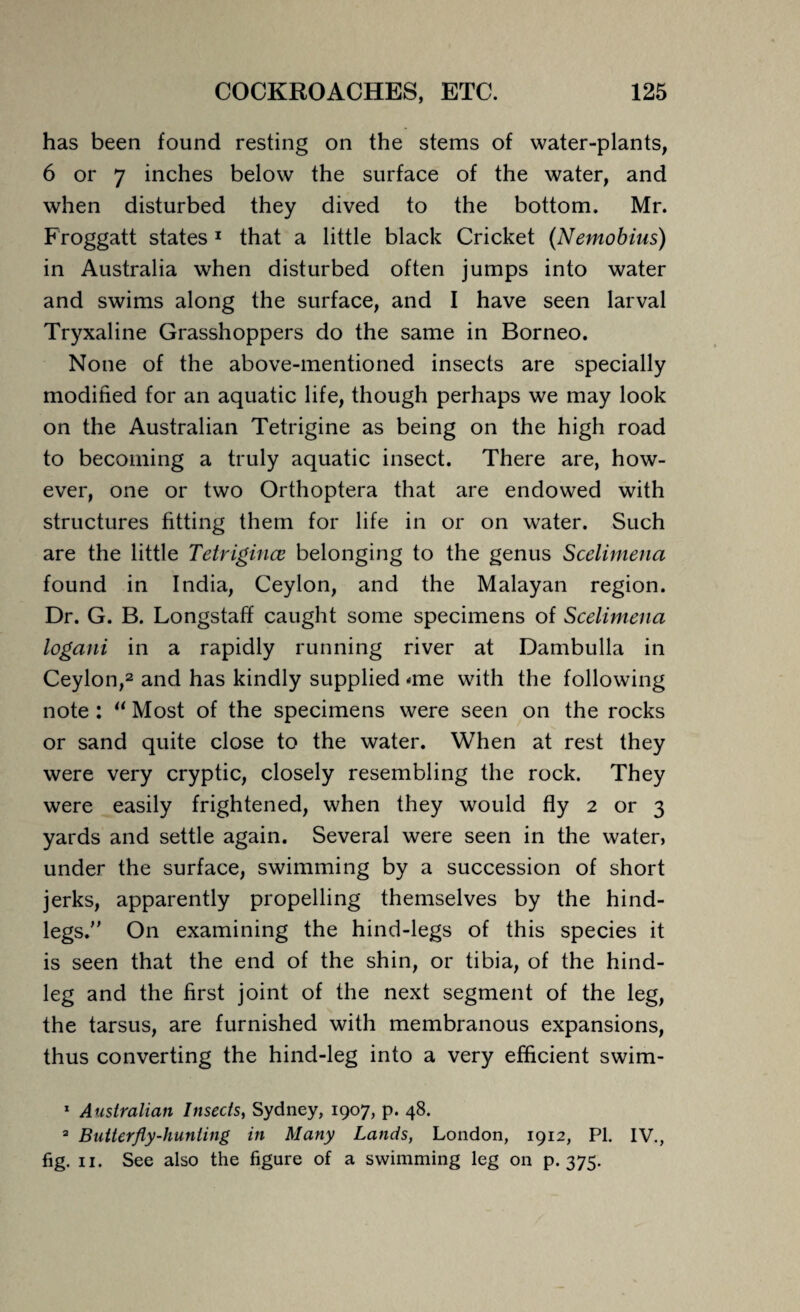 has been found resting on the stems of water-plants, 6 or 7 inches below the surface of the water, and when disturbed they dived to the bottom. Mr. Froggatt states 1 that a little black Cricket (Nemobius) in Australia when disturbed often jumps into water and swims along the surface, and I have seen larval Tryxaline Grasshoppers do the same in Borneo. None of the above-mentioned insects are specially modified for an aquatic life, though perhaps we may look on the Australian Tetrigine as being on the high road to becoming a truly aquatic insect. There are, how¬ ever, one or two Orthoptera that are endowed with structures fitting them for life in or on water. Such are the little Tetrigince belonging to the genus Scelimena found in India, Ceylon, and the Malayan region. Dr. G. B. Longstafif caught some specimens of Scelimena logani in a rapidly running river at Dambulla in Ceylon,2 and has kindly supplied -me with the following note : “ Most of the specimens were seen on the rocks or sand quite close to the water. When at rest they were very cryptic, closely resembling the rock. They were easily frightened, when they would fly 2 or 3 yards and settle again. Several were seen in the water, under the surface, swimming by a succession of short jerks, apparently propelling themselves by the hind¬ legs. On examining the hind-legs of this species it is seen that the end of the shin, or tibia, of the hind¬ leg and the first joint of the next segment of the leg, the tarsus, are furnished with membranous expansions, thus converting the hind-leg into a very efficient swim- 1 Australian Insects, Sydney, 1907, p. 48. 2 Butterfly-hunting in Many Lands, London, 1912, PI. IV., fig. 11. See also the figure of a swimming leg on p.375.