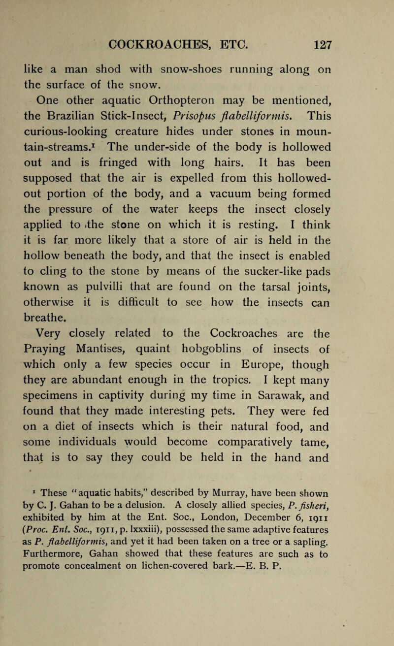 like a man shod with snow-shoes running along on the surface of the snow. One other aquatic Orthopteron may be mentioned, the Brazilian Stick-Insect, Prisopus flabellifonnis. This curious-looking creature hides under stones in moun¬ tain-streams.1 The under-side of the body is hollowed out and is fringed with long hairs. It has been supposed that the air is expelled from this hollowed- out portion of the body, and a vacuum being formed the pressure of the water keeps the insect closely applied to .the stone on which it is resting. I think it is far more likely that a store of air is held in the hollow beneath the body, and that the insect is enabled to cling to the stone by means of the sucker-like pads known as pulvilli that are found on the tarsal joints, otherwise it is difficult to see how the insects can breathe. Very closely related to the Cockroaches are the Praying Mantises, quaint hobgoblins of insects of which only a few species occur in Europe, though they are abundant enough in the tropics. I kept many specimens in captivity during my time in Sarawak, and found that they made interesting pets. They were fed on a diet of insects which is their natural food, and some individuals would become comparatively tame, that is to say they could be held in the hand and 1 These “ aquatic habits,” described by Murray, have been shown by C. J. Gahan to be a delusion. A closely allied species, P. fisheri, exhibited by him at the Ent. Soc., London, December 6, ign (Proc. Ent. Soc., 1911, p. lxxxiii), possessed the same adaptive features as P. flabelliformis, and yet it had been taken on a tree or a sapling. Furthermore, Gahan showed that these features are such as to promote concealment on lichen-covered bark.—E. B. P.