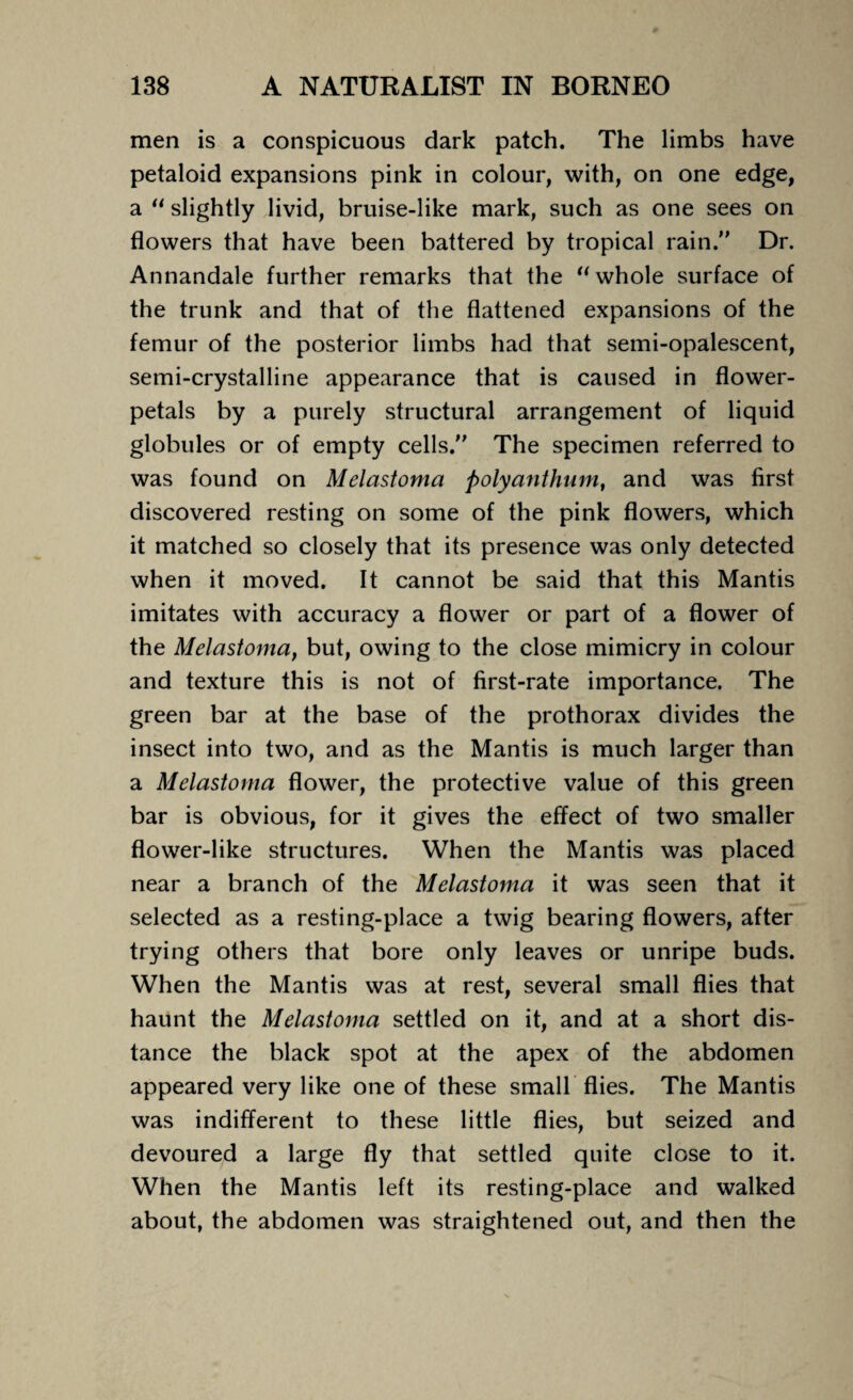 men is a conspicuous dark patch. The limbs have petaloid expansions pink in colour, with, on one edge, a “ slightly livid, bruise-like mark, such as one sees on flowers that have been battered by tropical rain.” Dr. Annandale further remarks that the “ whole surface of the trunk and that of the flattened expansions of the femur of the posterior limbs had that semi-opalescent, semi-crystalline appearance that is caused in flower- petals by a purely structural arrangement of liquid globules or of empty cells.” The specimen referred to was found on Melastoma polyanthum, and was first discovered resting on some of the pink flowers, which it matched so closely that its presence was only detected when it moved. It cannot be said that this Mantis imitates with accuracy a flower or part of a flower of the Melastoma, but, owing to the close mimicry in colour and texture this is not of first-rate importance. The green bar at the base of the prothorax divides the insect into two, and as the Mantis is much larger than a Melastoma flower, the protective value of this green bar is obvious, for it gives the effect of two smaller flower-like structures. When the Mantis was placed near a branch of the Melastoma it was seen that it selected as a resting-place a twig bearing flowers, after trying others that bore only leaves or unripe buds. When the Mantis was at rest, several small flies that haunt the Melastoma settled on it, and at a short dis¬ tance the black spot at the apex of the abdomen appeared very like one of these small flies. The Mantis was indifferent to these little flies, but seized and devoured a large fly that settled quite close to it. When the Mantis left its resting-place and walked about, the abdomen was straightened out, and then the