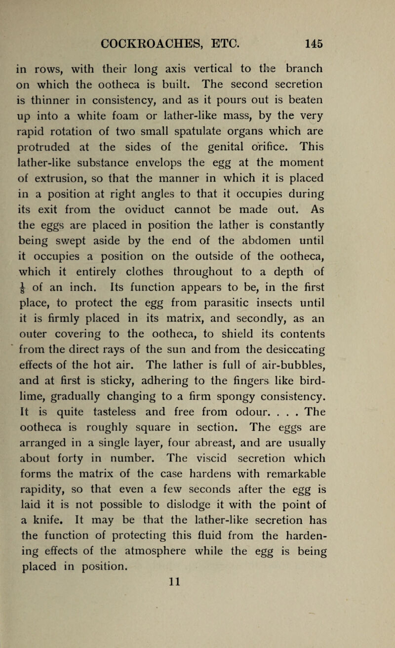 in rows, with their long axis vertical to the branch on which the ootheca is built. The second secretion is thinner in consistency, and as it pours out is beaten up into a white foam or lather-like mass, by the very rapid rotation of two small spatulate organs which are protruded at the sides of the genital orifice. This lather-like substance envelops the egg at the moment of extrusion, so that the manner in which it is placed in a position at right angles to that it occupies during its exit from the oviduct cannot be made out. As the eggs are placed in position the lather is constantly being swept aside by the end of the abdomen until it occupies a position on the outside of the ootheca, which it entirely clothes throughout to a depth of £ of an inch. Its function appears to be, in the first place, to protect the egg from parasitic insects until it is firmly placed in its matrix, and secondly, as an outer covering to the ootheca, to shield its contents from the direct rays of the sun and from the desiccating effects of the hot air. The lather is full of air-bubbles, and at first is sticky, adhering to the fingers like bird¬ lime, gradually changing to a firm spongy consistency. It is quite tasteless and free from odour. . . . The ootheca is roughly square in section. The eggs are arranged in a single layer, four abreast, and are usually about forty in number. The viscid secretion which forms the matrix of the case hardens with remarkable rapidity, so that even a few seconds after the egg is laid it is not possible to dislodge it with the point of a knife. It may be that the lather-like secretion has the function of protecting this fluid from the harden¬ ing effects of the atmosphere while the egg is being placed in position.