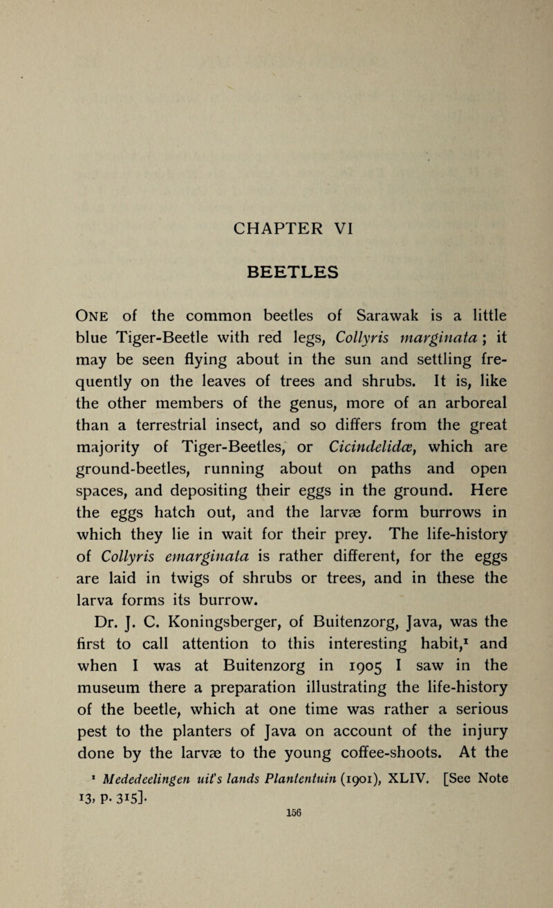 CHAPTER VI BEETLES One of the common beetles of Sarawak is a little blue Tiger-Beetle with red legs, Collyris marginata ; it may be seen flying about in the sun and settling fre¬ quently on the leaves of trees and shrubs. It is, like the other members of the genus, more of an arboreal than a terrestrial insect, and so differs from the great majority of Tiger-Beetles, or Cicindelidce, which are ground-beetles, running about on paths and open spaces, and depositing their eggs in the ground. Here the eggs hatch out, and the larvae form burrows in which they lie in wait for their prey. The life-history of Collyris emarginata is rather different, for the eggs are laid in twigs of shrubs or trees, and in these the larva forms its burrow. Dr. J. C. Koningsberger, of Buitenzorg, Java, was the first to call attention to this interesting habit,1 and when I was at Buitenzorg in 1905 I saw in the museum there a preparation illustrating the life-history of the beetle, which at one time was rather a serious pest to the planters of Java on account of the injury done by the larvae to the young coffee-shoots. At the 1 Mededeelingen uit's lands Planteniuin (1901), XLIV. [See Note 13, P- 3i5]*