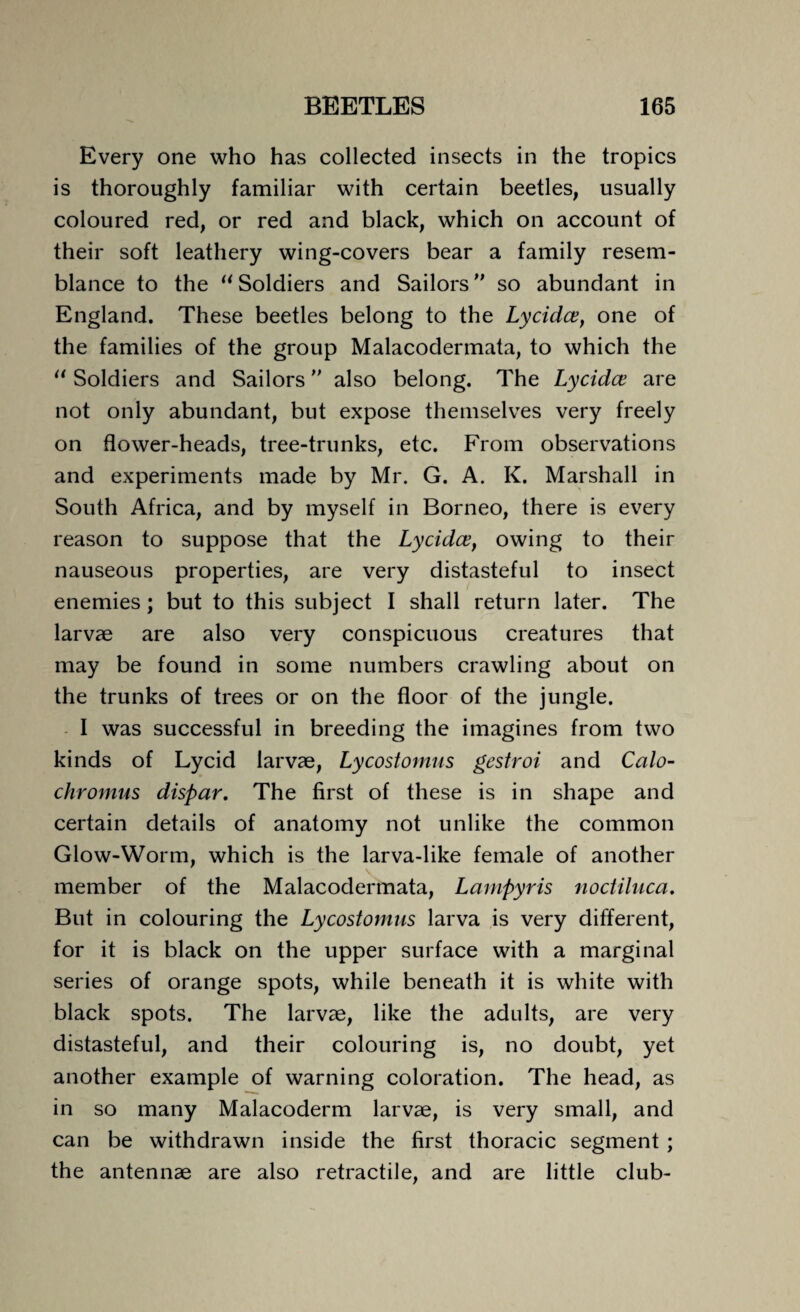 Every one who has collected insects in the tropics is thoroughly familiar with certain beetles, usually coloured red, or red and black, which on account of their soft leathery wing-covers bear a family resem¬ blance to the “Soldiers and Sailors” so abundant in England. These beetles belong to the Lycidce, one of the families of the group Malacodermata, to which the “ Soldiers and Sailors ” also belong. The Lycidce are not only abundant, but expose themselves very freely on flower-heads, tree-trunks, etc. From observations and experiments made by Mr. G. A. K. Marshall in South Africa, and by myself in Borneo, there is every reason to suppose that the Lycidce, owing to their nauseous properties, are very distasteful to insect enemies; but to this subject I shall return later. The larvae are also very conspicuous creatures that may be found in some numbers crawling about on the trunks of trees or on the floor of the jungle. I was successful in breeding the imagines from two kinds of Lycid larvae, Lycostomus gestroi and Calo- chromus dispar. The first of these is in shape and certain details of anatomy not unlike the common Glow-Worm, which is the larva-like female of another member of the Malacodermata, Lampyris noctiluca. But in colouring the Lycostomus larva is very different, for it is black on the upper surface with a marginal series of orange spots, while beneath it is white with black spots. The larvae, like the adults, are very distasteful, and their colouring is, no doubt, yet another example of warning coloration. The head, as in so many Malacoderm larvae, is very small, and can be withdrawn inside the first thoracic segment ; the antennae are also retractile, and are little club-