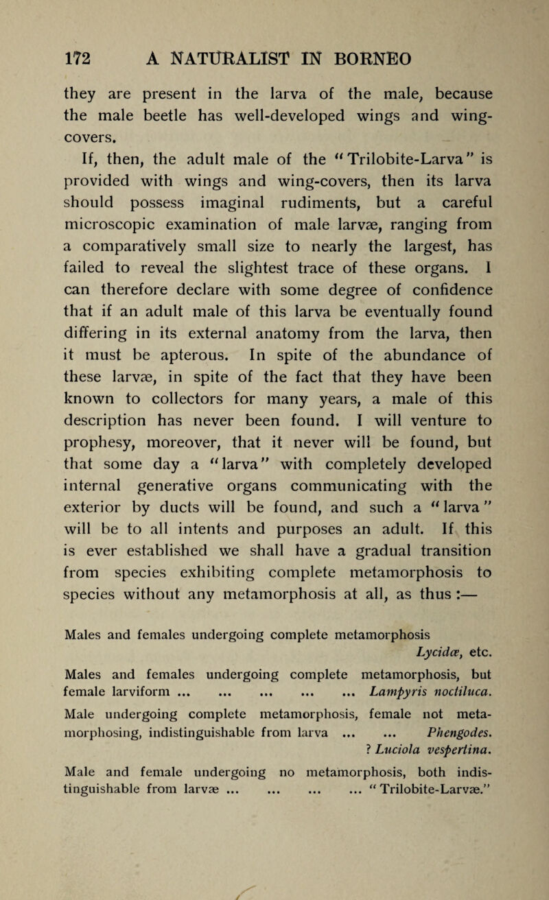 they are present in the larva of the male, because the male beetle has well-developed wings and wing- covers. If, then, the adult male of the  Trilobite-Larva ” is provided with wings and wing-covers, then its larva should possess imaginal rudiments, but a careful microscopic examination of male larvae, ranging from a comparatively small size to nearly the largest, has failed to reveal the slightest trace of these organs. I can therefore declare with some degree of confidence that if an adult male of this larva be eventually found differing in its external anatomy from the larva, then it must be apterous. In spite of the abundance of these larvae, in spite of the fact that they have been known to collectors for many years, a male of this description has never been found. I will venture to prophesy, moreover, that it never will be found, but that some day a “ larva with completely developed internal generative organs communicating with the exterior by ducts will be found, and such a “ larva ” will be to all intents and purposes an adult. If this is ever established we shall have a gradual transition from species exhibiting complete metamorphosis to species without any metamorphosis at all, as thus :— Males and females undergoing complete metamorphosis Lycidce, etc. Males and females undergoing complete metamorphosis, but female larviform.Lampyris noctiluca. Male undergoing complete metamorphosis, female not meta¬ morphosing, indistinguishable from larva . Phengodes. ? Luciola vespertina. Male and female undergoing no metamorphosis, both indis¬ tinguishable from larvae.“ Trilobite-Larvae.”