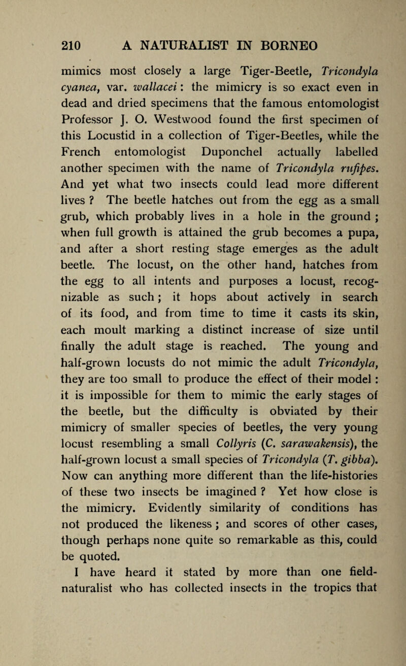 mimics most closely a large Tiger-Beetle, Tricondyla cyanea, var. wallacei: the mimicry is so exact even in dead and dried specimens that the famous entomologist Professor J. O. Westwood found the first specimen of this Locustid in a collection of Tiger-Beetles, while the French entomologist Duponchel actually labelled another specimen with the name of Tricondyla rufipes. And yet what two insects could lead more different lives ? The beetle hatches out from the egg as a small grub, which probably lives in a hole in the ground ; when full growth is attained the grub becomes a pupa, and after a short resting stage emerges as the adult beetle. The locust, on the other hand, hatches from the egg to all intents and purposes a locust, recog¬ nizable as such; it hops about actively in search of its food, and from time to time it casts its skin, each moult marking a distinct increase of size until finally the adult stage is reached. The young and half-grown locusts do not mimic the adult Tricondyla, they are too small to produce the effect of their model: it is impossible for them to mimic the early stages of the beetle, but the difficulty is obviated by their mimicry of smaller species of beetles, the very young locust resembling a small Collyris (C. sarawakensis), the half-grown locust a small species of Tricondyla (T. gibba). Now can anything more different than the life-histories of these two insects be imagined ? Yet how close is the mimicry. Evidently similarity of conditions has not produced the likeness ; and scores of other cases, though perhaps none quite so remarkable as this, could be quoted. I have heard it stated by more than one field- naturalist who has collected insects in the tropics that