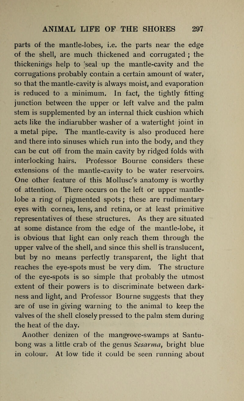 parts of the mantle-lobes, i.e. the parts near the edge of the shell, are much thickened and corrugated ; the thickenings help to 'seal up the mantle-cavity and the corrugations probably contain a certain amount of water, so that the mantle-cavity is always moist, and evaporation is reduced to a minimum. In fact, the tightly fitting junction between the upper or left valve and the palm stem is supplemented by an internal thick cushion which acts like the indiarubber washer of a watertight joint in a metal pipe. The mantle-cavity is also produced here and there into sinuses which run into the body, and they can be cut off from the main cavity by ridged folds with interlocking hairs. Professor Bourne considers these extensions of the mantle-cavity to be water reservoirs. One other feature of this Mollusc's anatomy is worthy of attention. There occurs on the left or upper mantle- lobe a ring of pigmented spots; these are rudimentary eyes with cornea, lens, and retina, or at least primitive representatives of these structures. As they are situated at some distance from the edge of the mantle-lobe, it is obvious that light can only reach them through the upper valve of the shell, and since this shell is translucent, but by no means perfectly transparent, the light that reaches the eye-spots must be very dim. The structure of the eye-spots is so simple that probably the utmost extent of their powers is to discriminate between dark¬ ness and light, and Professor Bourne suggests that they are of use in giving warning to the animal to keep the valves of the shell closely pressed to the palm stem during the heat of the day. Another denizen of the mangrove-swamps at Santu- bong was a little crab of the genus Sesarma, bright blue in colour. At low tide it could be seen running about
