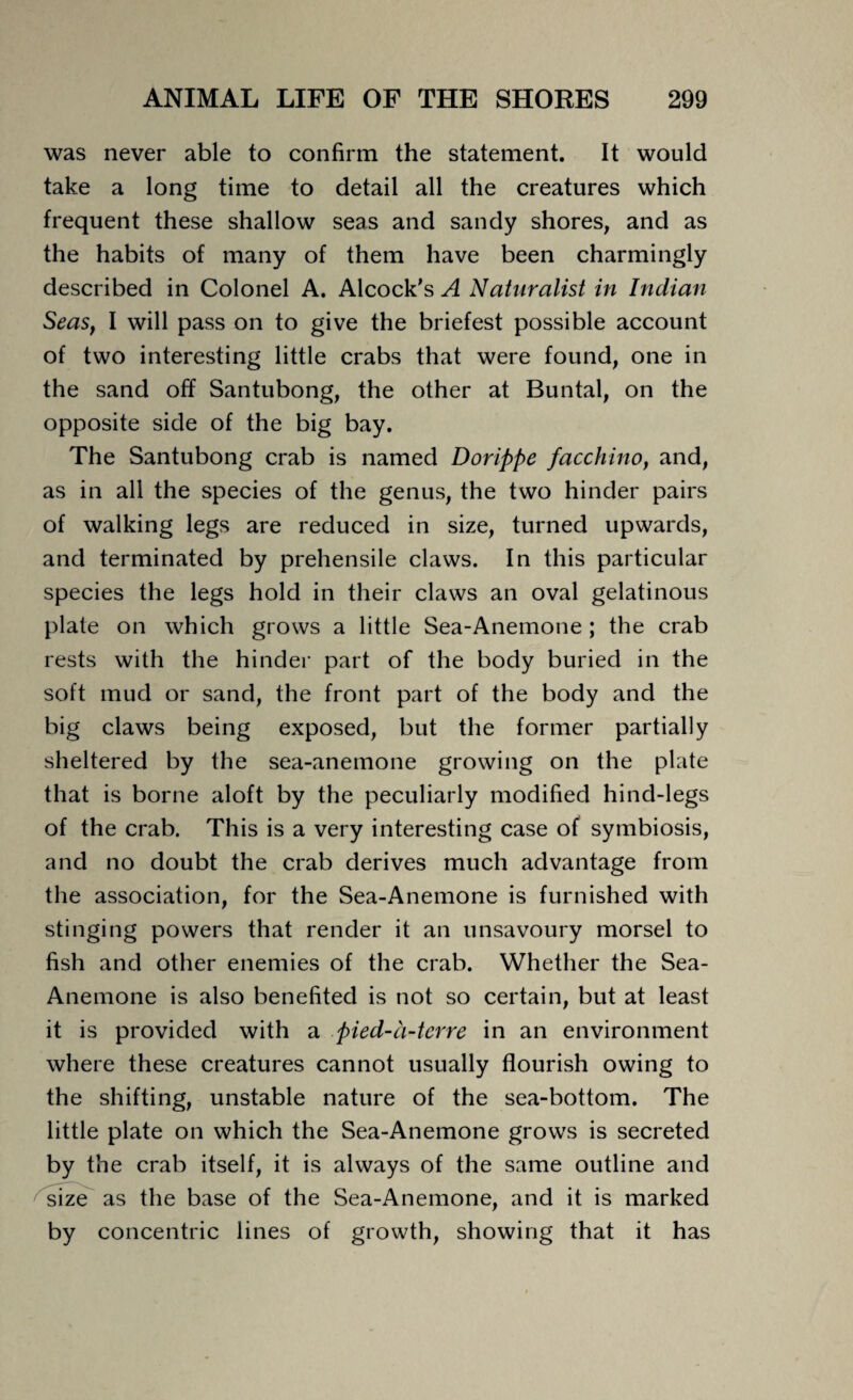 was never able to confirm the statement. It would take a long time to detail all the creatures which frequent these shallow seas and sandy shores, and as the habits of many of them have been charmingly described in Colonel A. Alcock's A Naturalist in Indian Seas, I will pass on to give the briefest possible account of two interesting little crabs that were found, one in the sand off Santubong, the other at Buntal, on the opposite side of the big bay. The Santubong crab is named Dorippe facchino, and, as in all the species of the genus, the two hinder pairs of walking legs are reduced in size, turned upwards, and terminated by prehensile claws. In this particular species the legs hold in their claws an oval gelatinous plate on which grows a little Sea-Anemone ; the crab rests with the hinder part of the body buried in the soft mud or sand, the front part of the body and the big claws being exposed, but the former partially sheltered by the sea-anemone growing on the plate that is borne aloft by the peculiarly modified hind-legs of the crab. This is a very interesting case of symbiosis, and no doubt the crab derives much advantage from the association, for the Sea-Anemone is furnished with stinging powers that render it an unsavoury morsel to fish and other enemies of the crab. Whether the Sea- Anemone is also benefited is not so certain, but at least it is provided with a pied-a-terre in an environment where these creatures cannot usually flourish owing to the shifting, unstable nature of the sea-bottom. The little plate on which the Sea-Anemone grows is secreted by the crab itself, it is always of the same outline and size as the base of the Sea-Anemone, and it is marked by concentric lines of growth, showing that it has