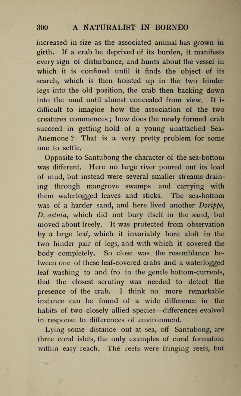 increased in size as the associated animal has grown in girth. If a crab be deprived of its burden, it manifests every sign of disturbance, and hunts about the vessel in which it is confined until it finds the object of its search, which is then hoisted up in the two hinder legs into the old position, the crab then backing down into the mud until almost concealed from view. It is difficult to imagine how the association of the two creatures commences; how does the newly formed crab succeed in getting hold of a young unattached Sea- Anemone ? That is a very pretty problem for some one to settle. Opposite to Santubong the character of the sea-bottom was different. Here no large river poured out its load of mud, but instead were several smaller streams drain¬ ing through mangrove swamps and carrying with them waterlogged leaves and sticks. The sea-bottom was of a harder sand, and here lived another Dorippe, D. astuta, which did not bury itself in the sand, but moved about freely. It was protected from observation by a large leaf, which it invariably bore aloft in the two hinder pair of legs, and with which it covered the body completely. So close was the resemblance be¬ tween one of these leaf-covered crabs and a waterlogged leaf washing to and fro in the gentle bottom-currents, that the closest scrutiny was needed to detect the presence of the crab. I think no more remarkable instance can be found of a wide difference in the habits of two closely allied species—differences evolved in response to differences of environment. Lying some distance out at sea, off Santubong, are three coral islets, the only examples of coral formation within easy reach. The reefs were fringing reefs, but