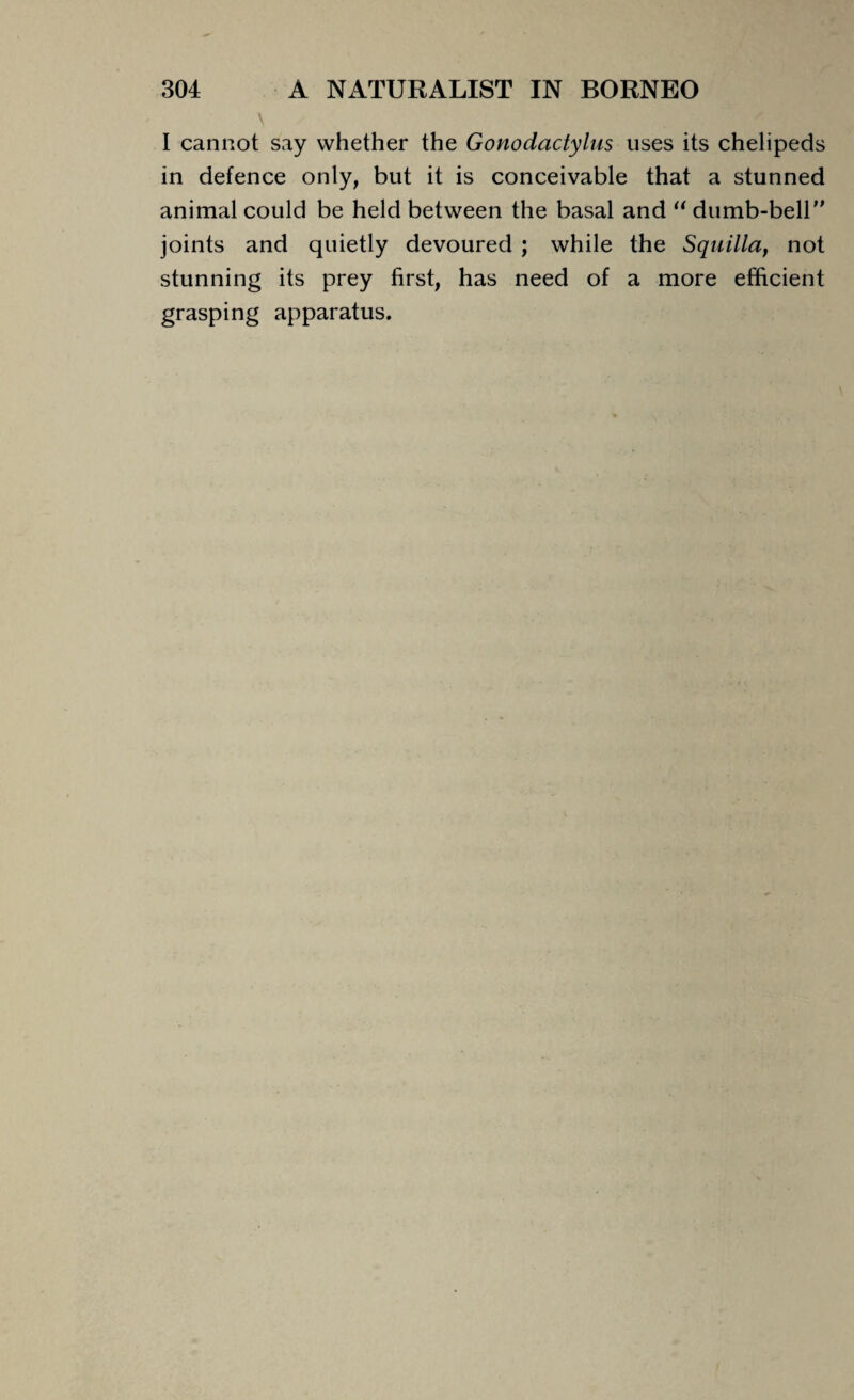 I cannot say whether the Gonodactylus uses its chelipeds in defence only, but it is conceivable that a stunned animal could be held between the basal and “ dumb-bell joints and quietly devoured ; while the Squilla, not stunning its prey first, has need of a more efficient grasping apparatus.